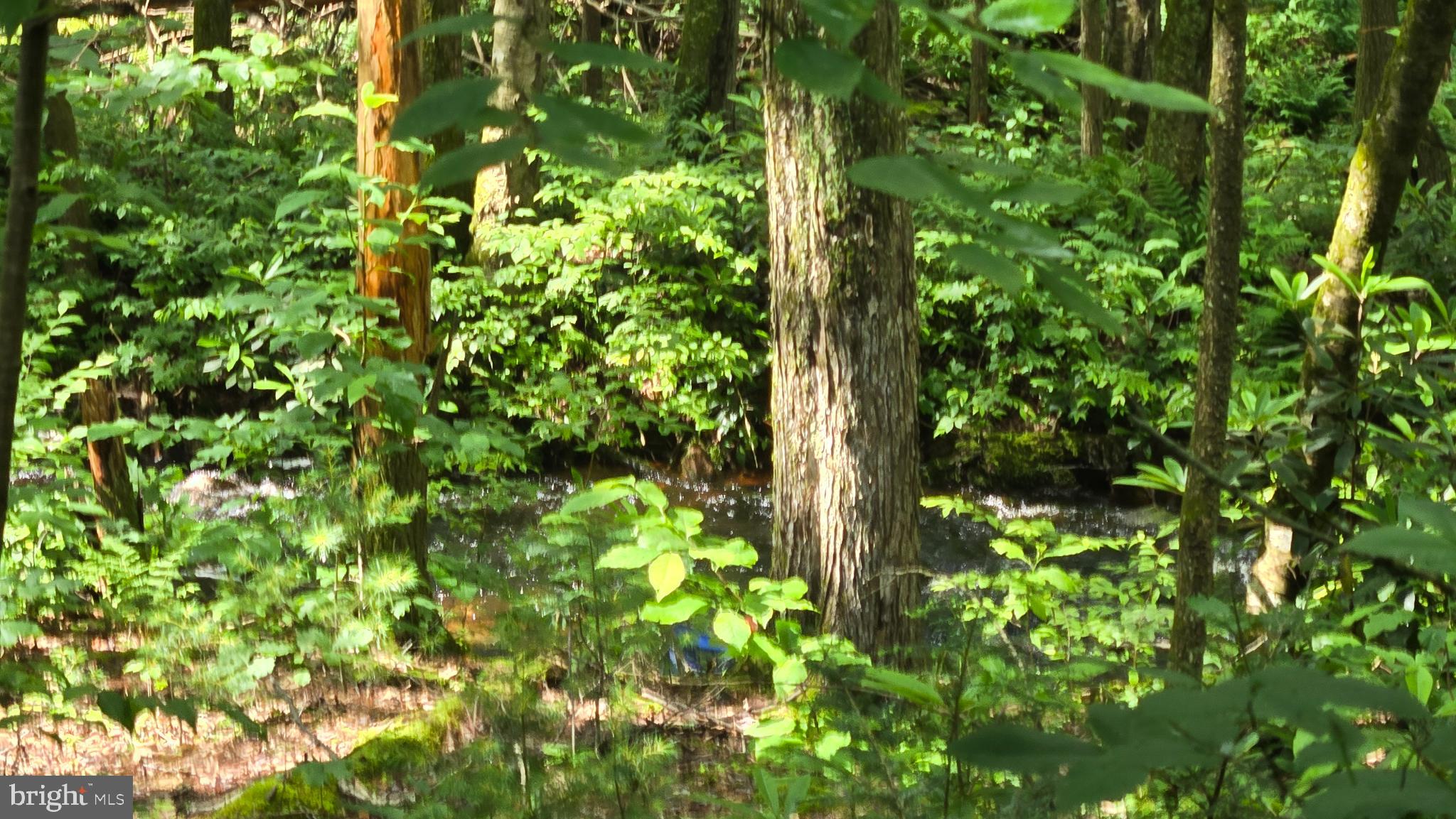 212 THICKHEAD MOUNTAIN ROAD