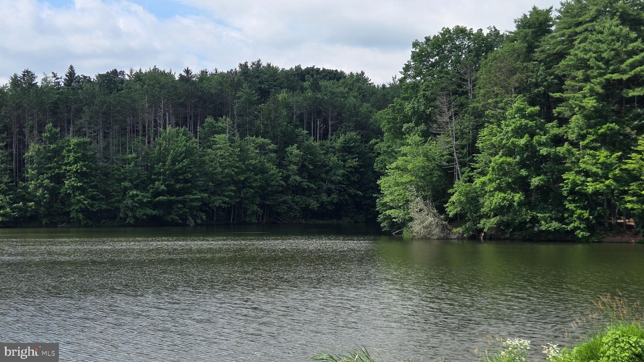 ROTHROCK STATE FOREST - Residential