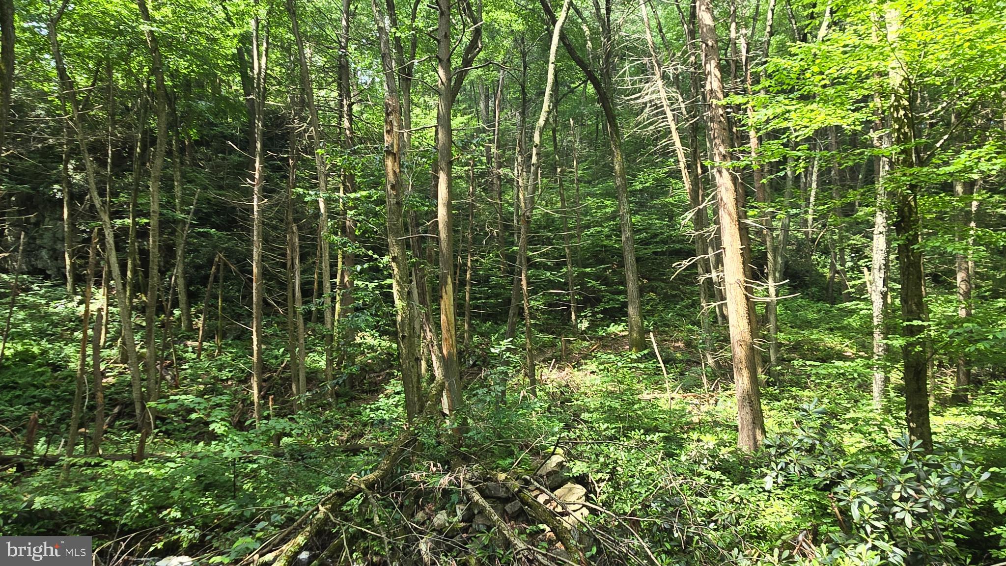 ROTHROCK STATE FOREST - Residential