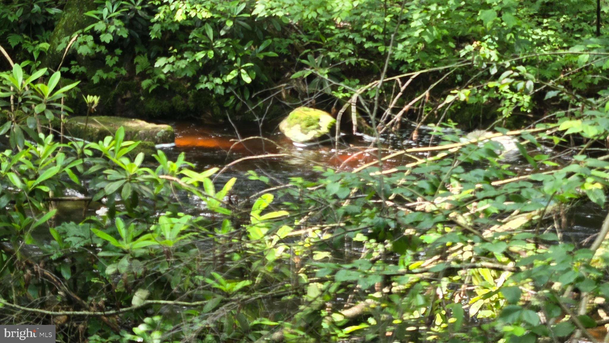 ROTHROCK STATE FOREST - Residential