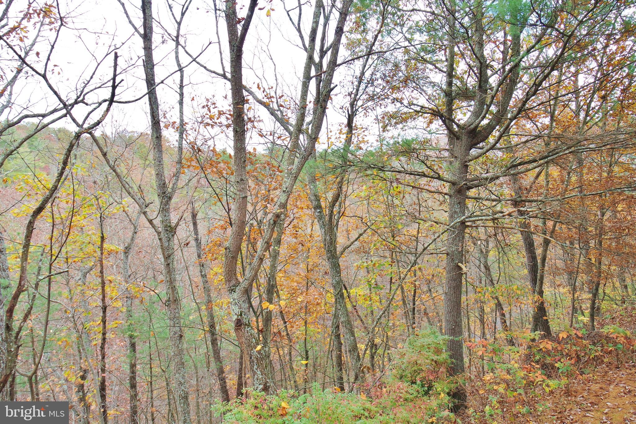 LAKEVIEW PEDESTAL HOMES - Residential