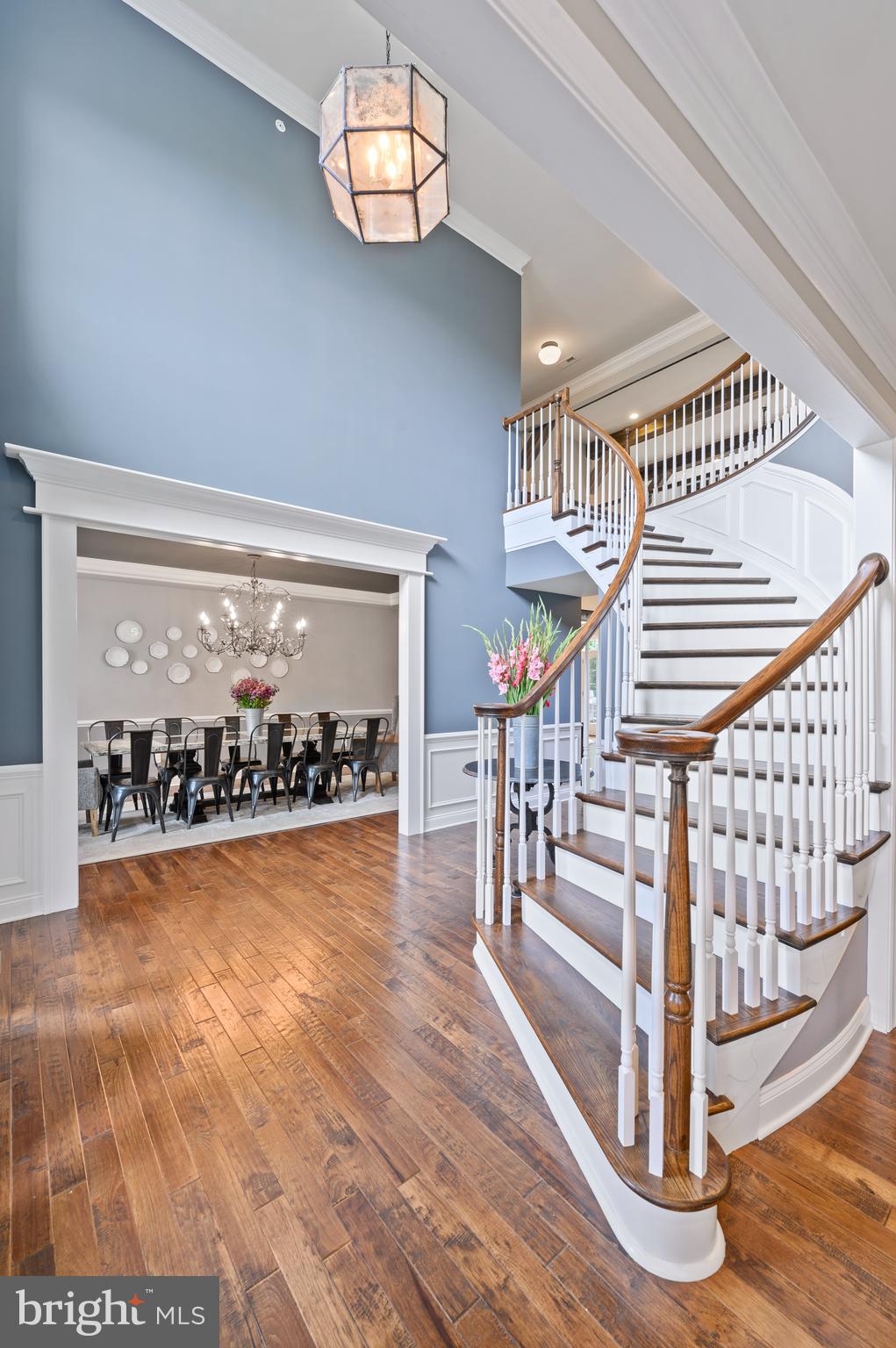 LISETER - Residential