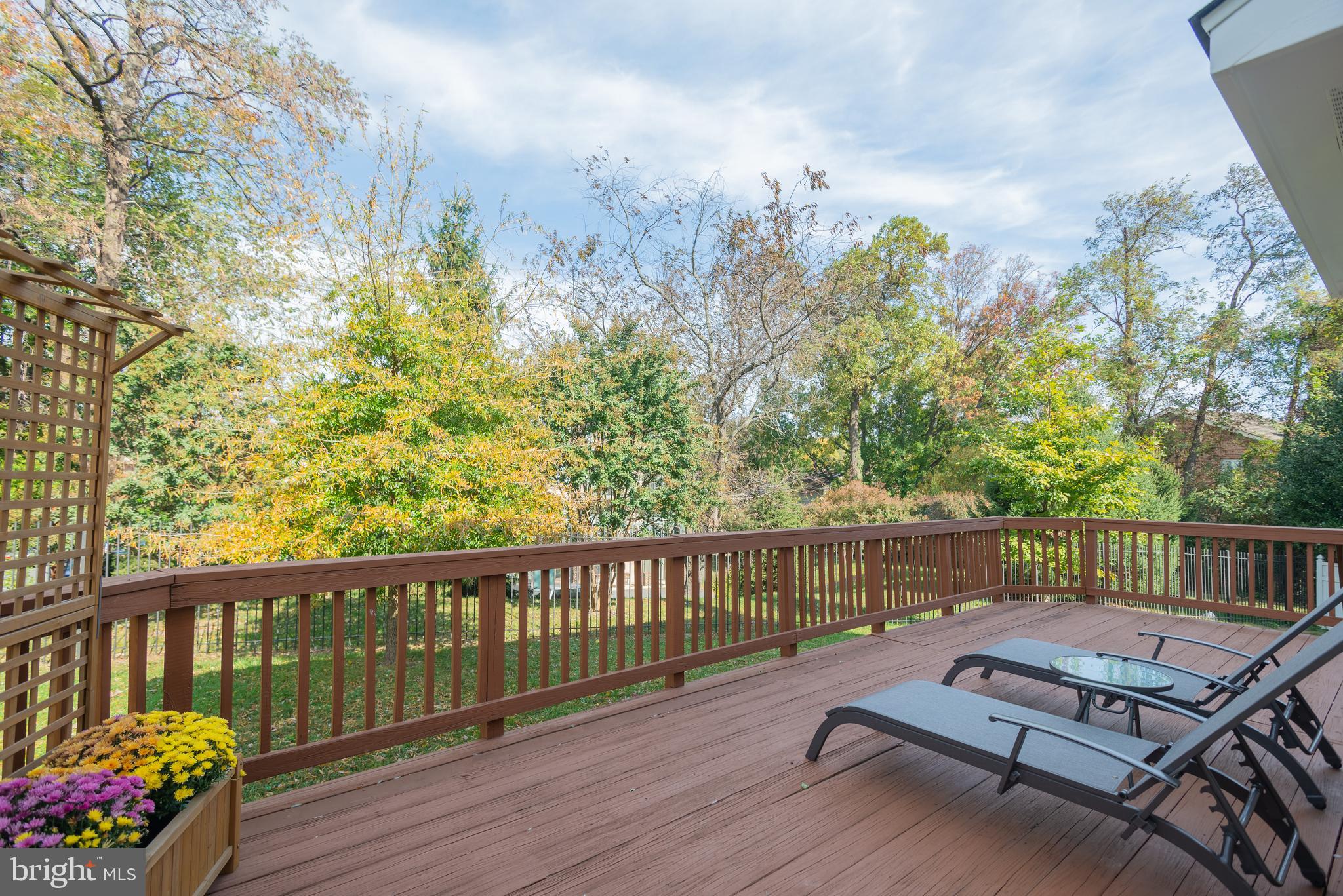 CHESTNUT HILLS - Residential