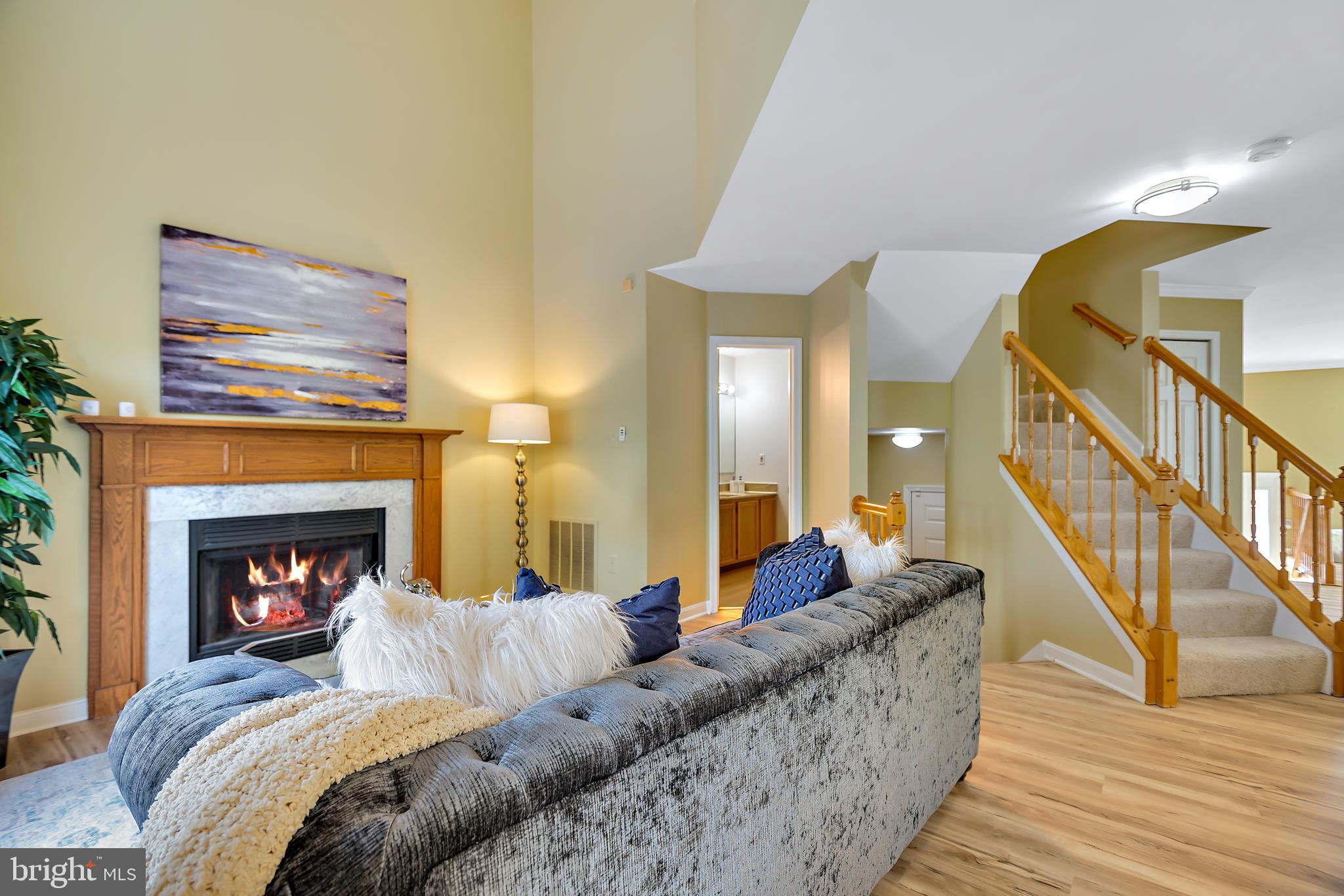 CHESTNUT HILLS - Residential