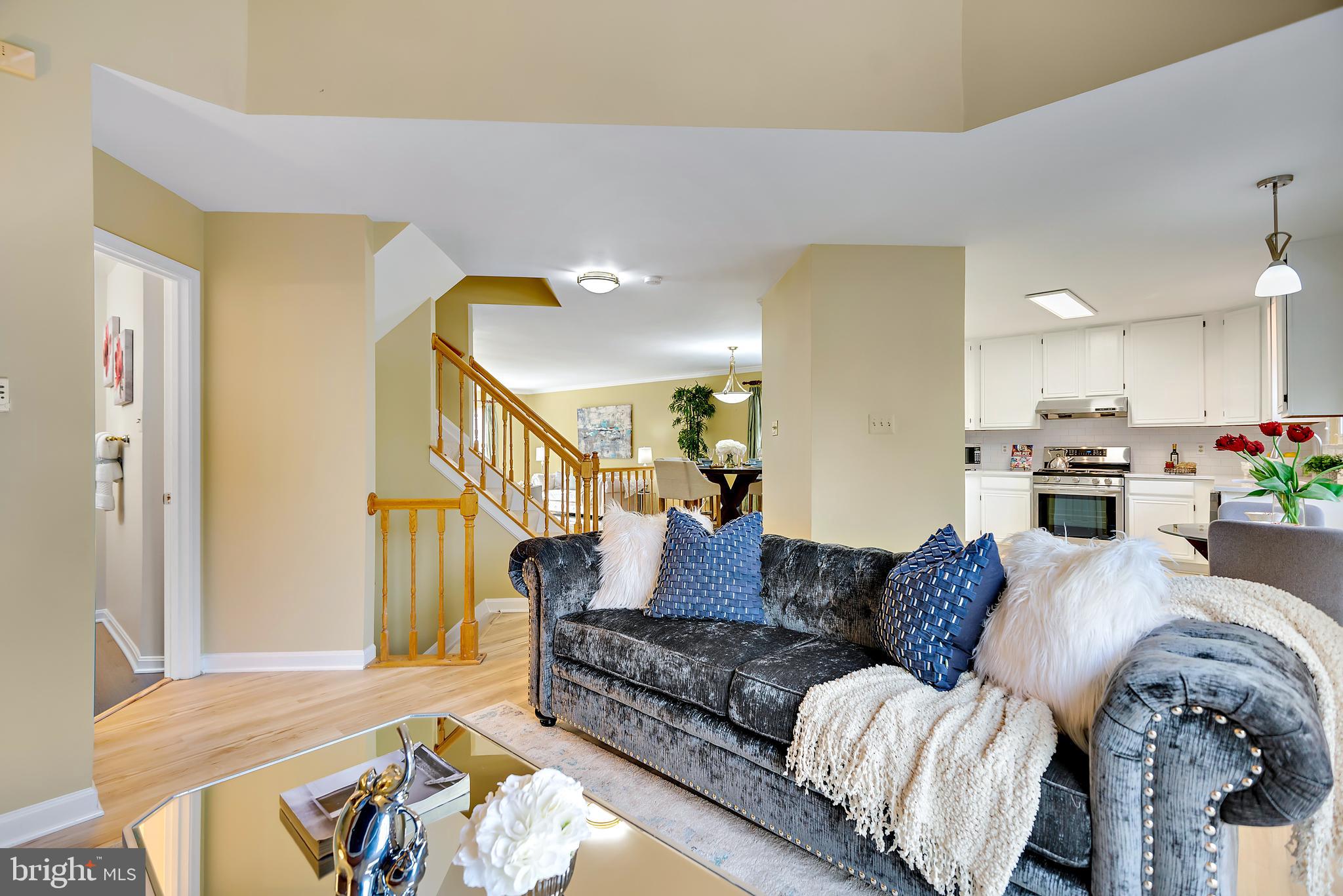 CHESTNUT HILLS - Residential