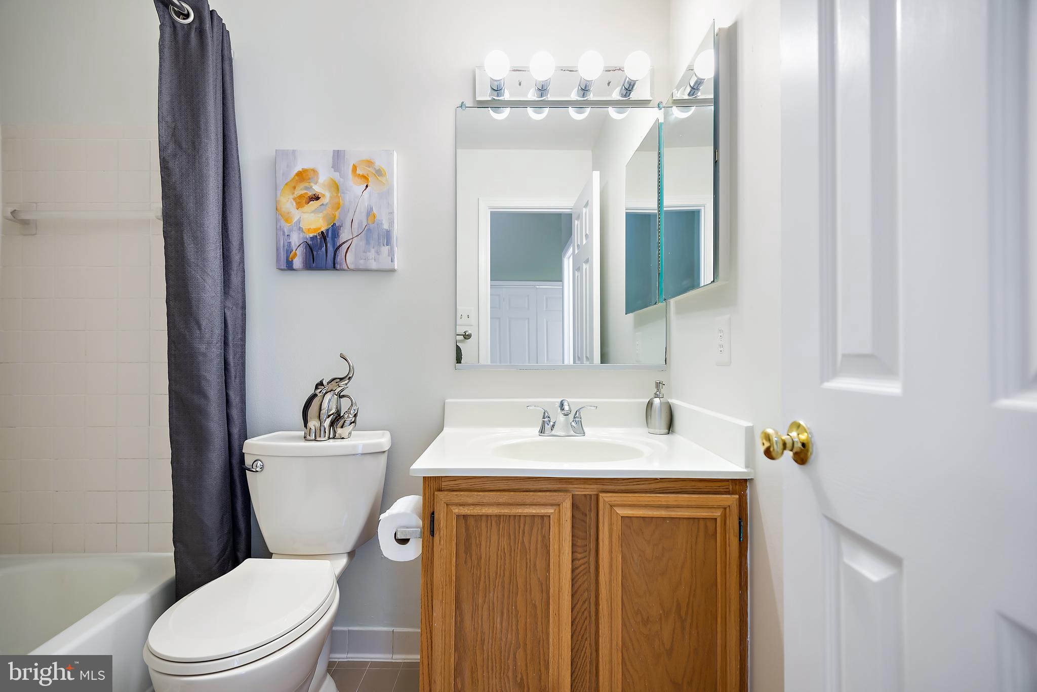 CHESTNUT HILLS - Residential