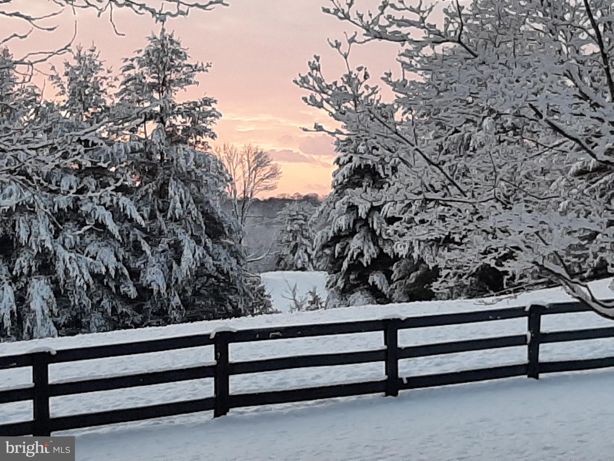 WEIDLEIN DIVISION - Residential