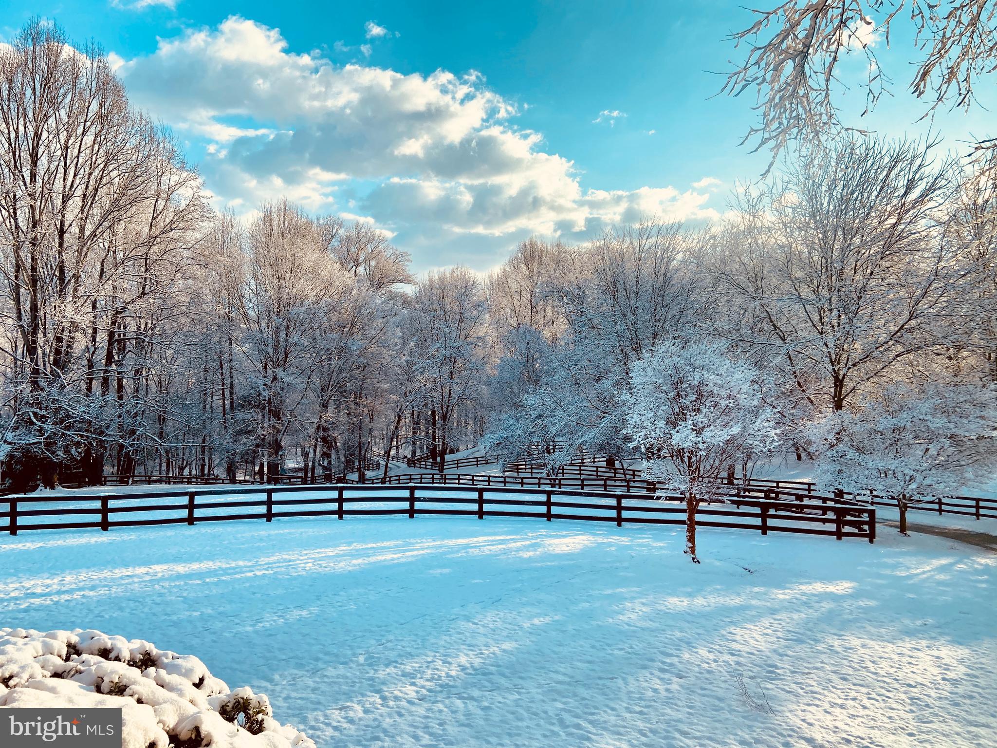 WEIDLEIN DIVISION - Residential