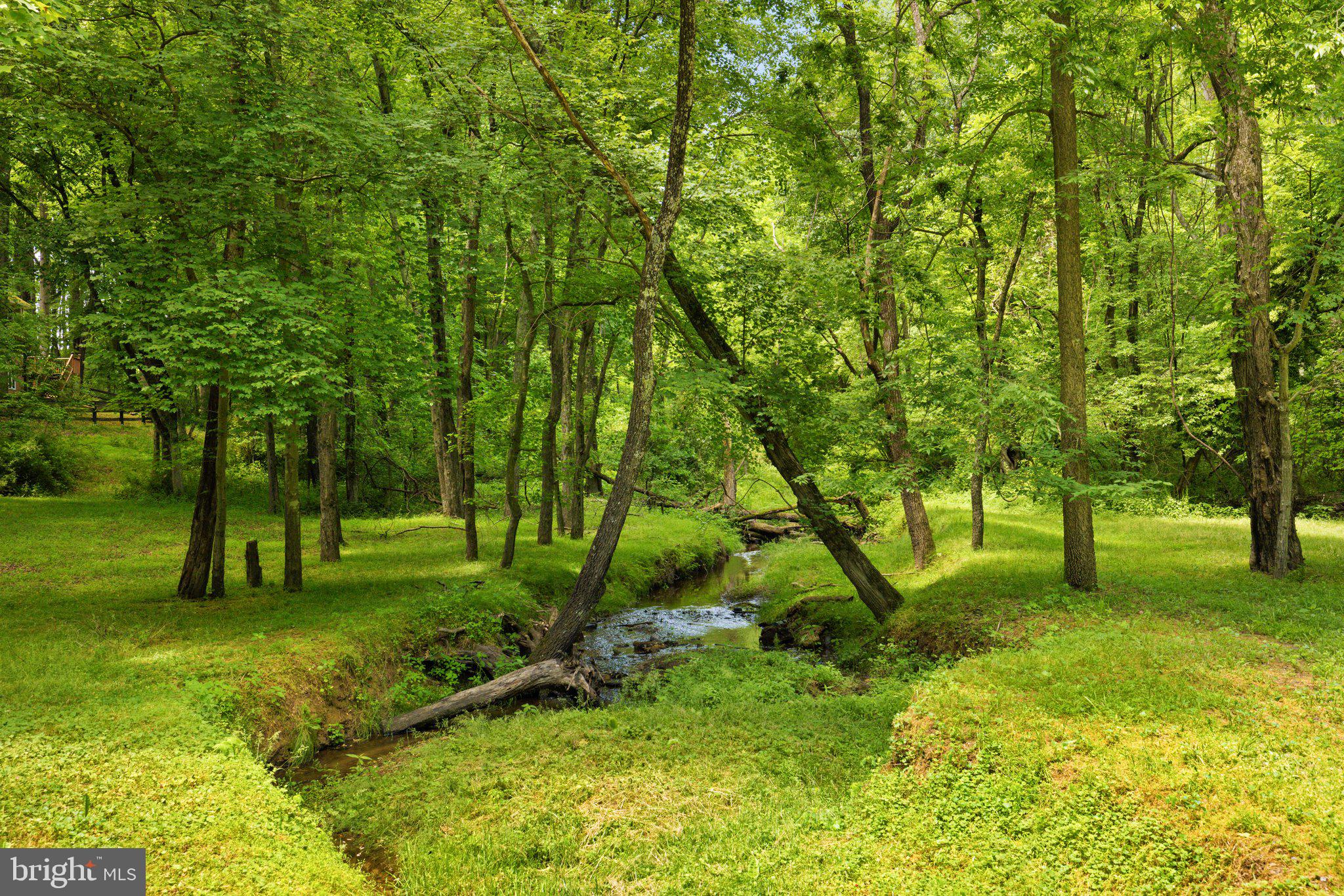 WEIDLEIN DIVISION - Residential