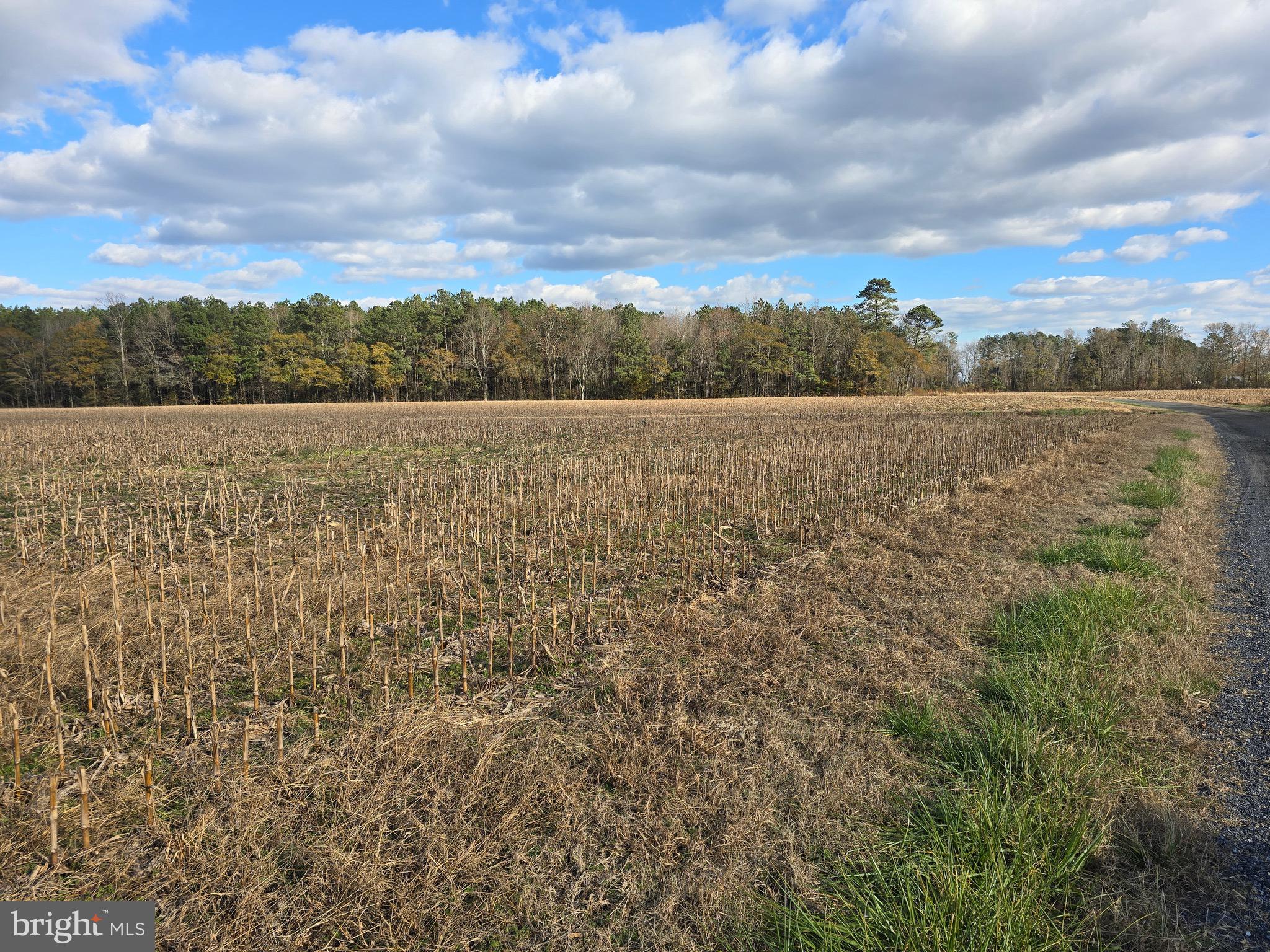 0 Lot 1 POPLAR NECK ROAD