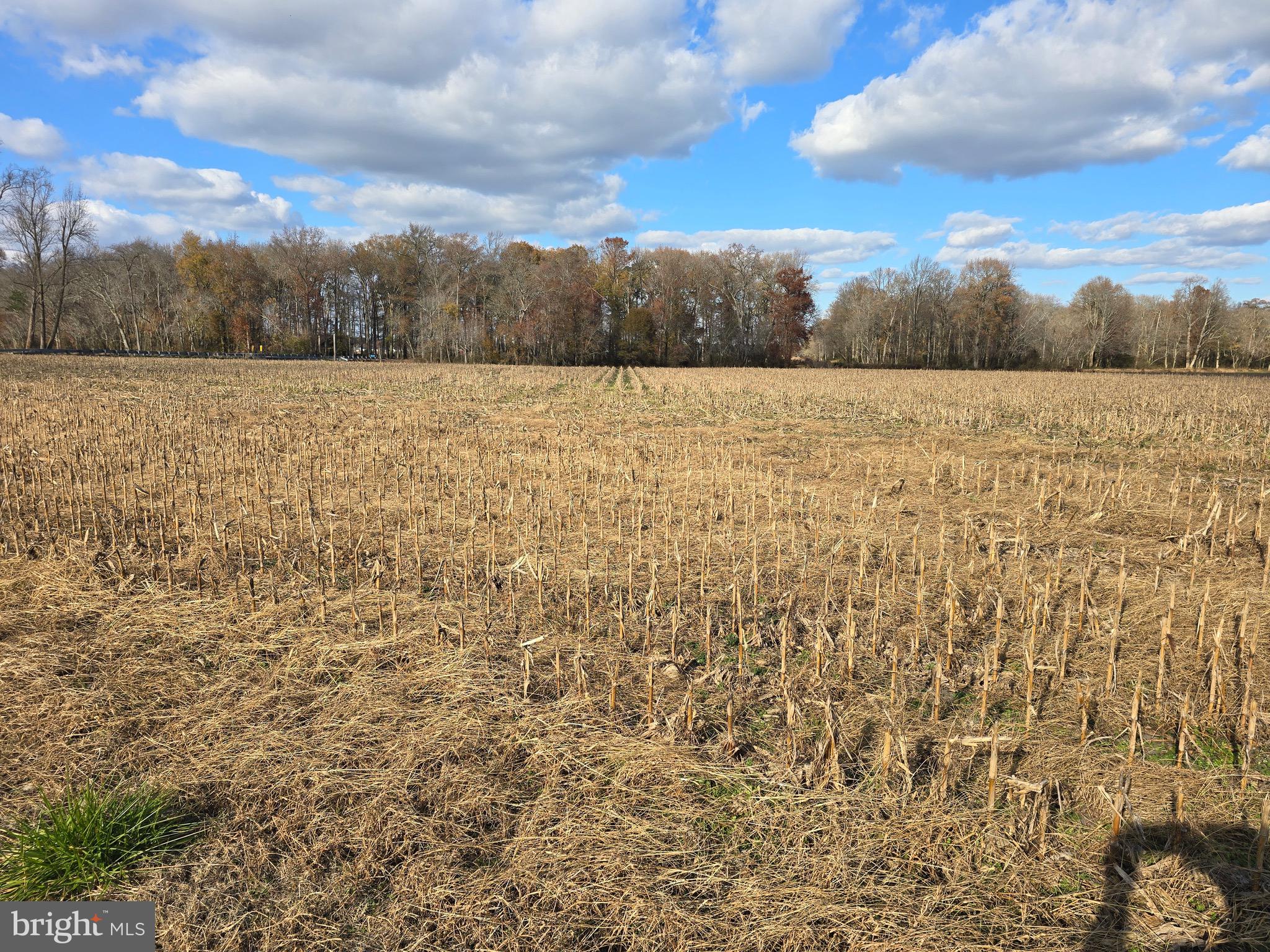 0 Lot 1 POPLAR NECK ROAD