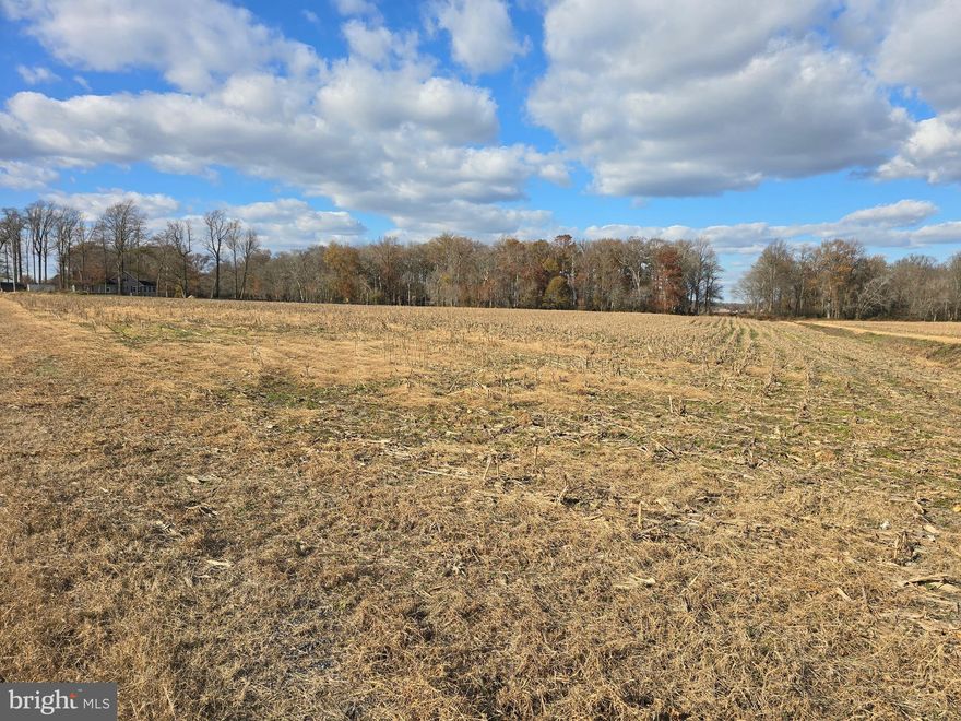 If you have been waiting for the 'spot' to build your country retreat with some acreage, this could be it. Almost 5 acres cleared with an approved 'perc', located just outside of Willards. Fronting on Richardson Road & Poplar Neck Road, it is just minutes from Salisbury, Ocean City, Fenwick Island, Assateague, and Lower Delaware. With no HOA or builder tie-ins, this makes this Acreage a 'blank slate' for your ultimate country retreat! Adjacent 10.47 acre lot for sale as well!