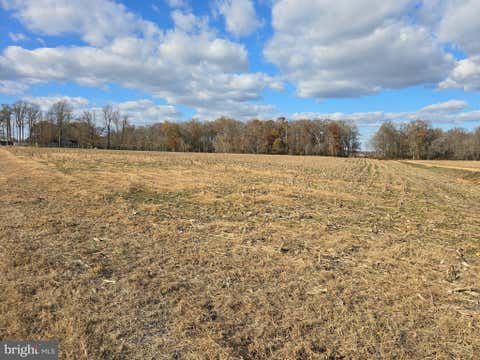 Vacant Land For Sale - 0 LOT 1 Poplar Neck #ROAD<br/> WILLARDS, MD 21874