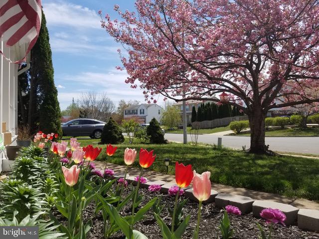 DALE CITY - Residential