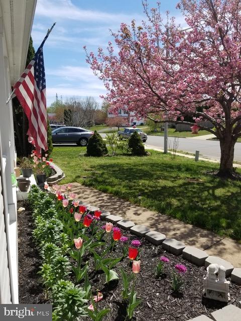 DALE CITY - Residential