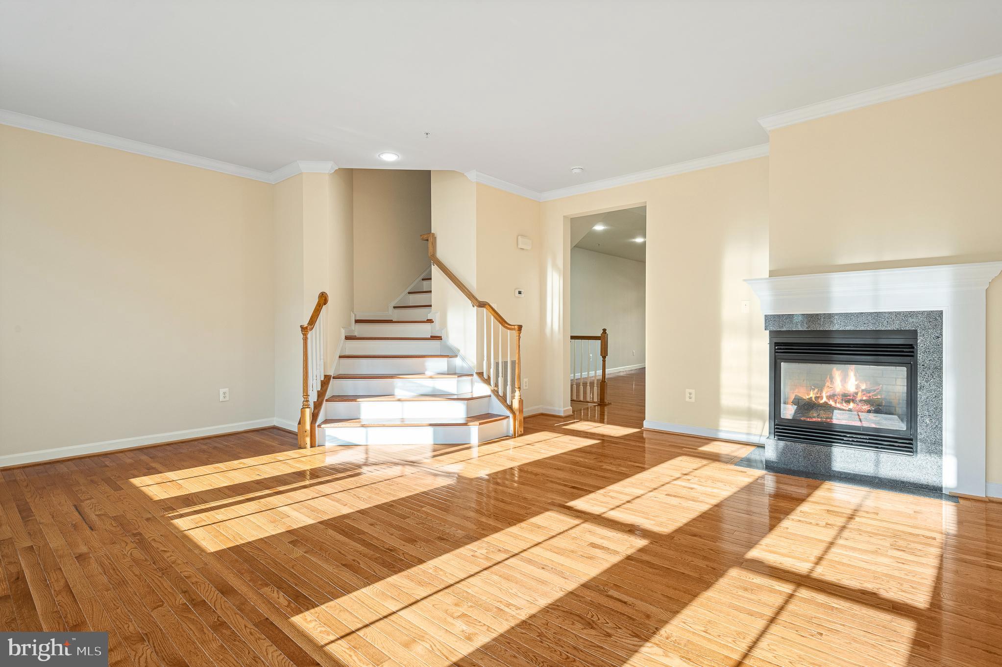 WATKINS MILL TOWN CENTER - Residential