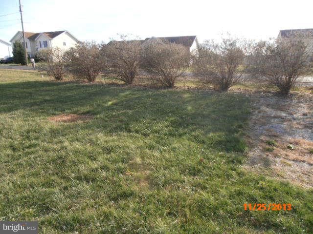 ELIZABETH STATION - Residential