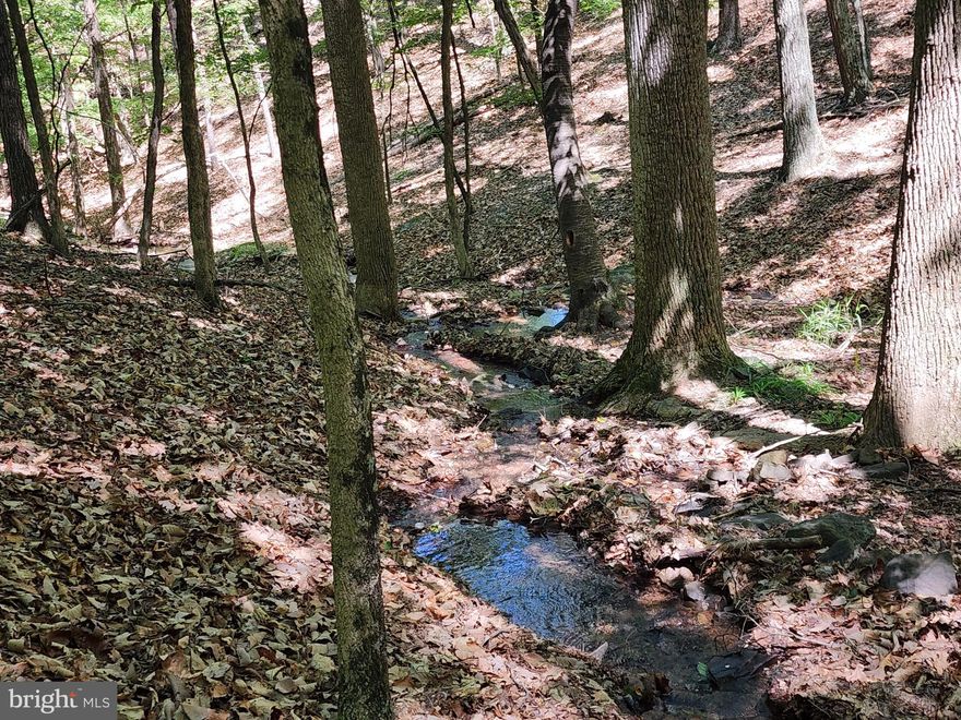 ROUGH, RUGGED, AND READY!  CHECK OUT THIS 15 ACRE PARCEL THAT IS COMPLETELY UNRESTRICTED AND READY FOR YOUR MOUNTAIN RETREAT.  THE DEEDED RIGHT OF WAY WAS RECENTLY DEVELOPED ALLOWING EASIER ACCESS TO THIS SECLUDED HIDEAWAY AT THE BASE OF THE MOUNTAIN.  A BEAUTIFUL SEASONAL STREAM RUNS THROUGH THE PROPERTY WHICH CAN BE HEARD FROM THE CLEARING ABOVE.  HUNT, HIKE, RIDE, OR TAKE IN THE SCENIC BEAUTY THAT CAN ONLY BE FOUND ON A PROPERTY LIKE THIS.  WHETHER LOOKING FOR A SECLUDED SPOT TO ESCAPE TO, OR AN EXCLUSIVE HUNTING PROPERTY, THIS ONE WILL CHECK A LOT OF BOXES ON THE LIST.  SIDELING HILL WILDLIFE MANAGEMENT AREA IS ONLY MINUTES AWAY IF YOU GET BORED SEEING TONS OF DEER ON YOUR OWN PROPERTY.  THIS ONE ISN'T FOR THE FAINT OF HEART.  IF OCCASIONAL 4-WHEEL DRIVE ACCESS OR THE FEELING OF BEING ALONE IN THE WOODS SCARES YOU, THEN THIS ONE PROBABLY ISN'T FOR YOU!  PLAN A TRIP TO "WILD AND WONDERFUL" TODAY TO CHECK IT OUT -- JUST DON'T FORGET YOUR HIKING BOOTS!!