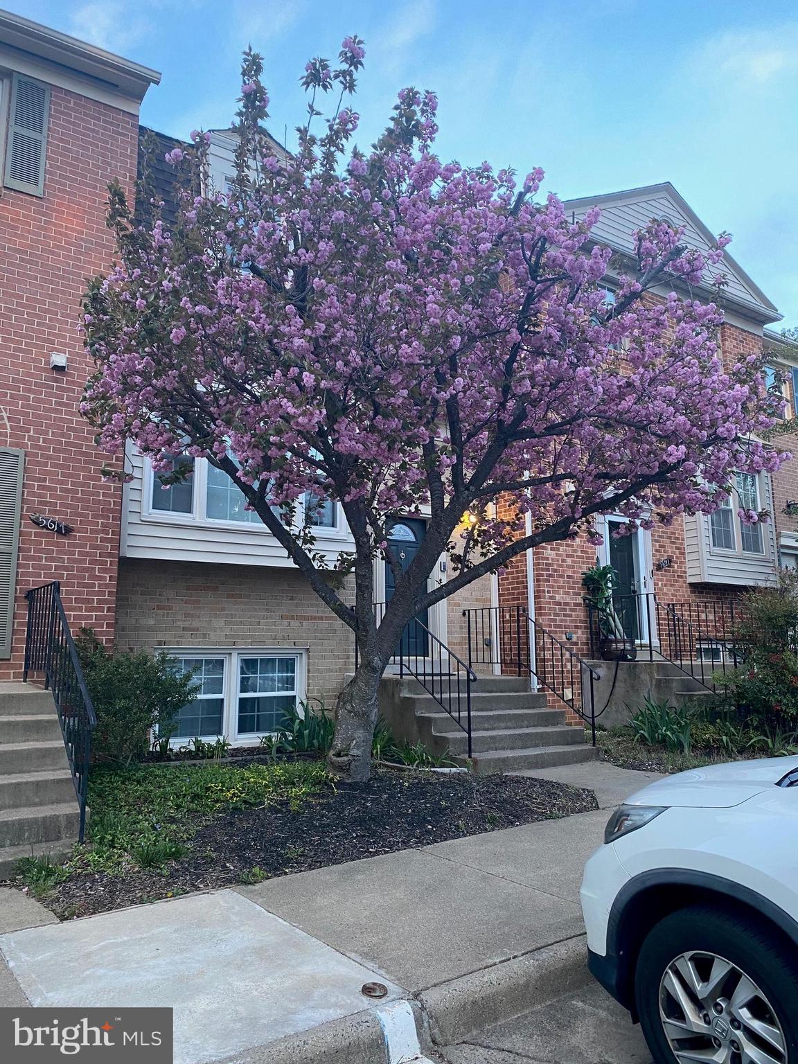 LAKEPOINTE - Residential