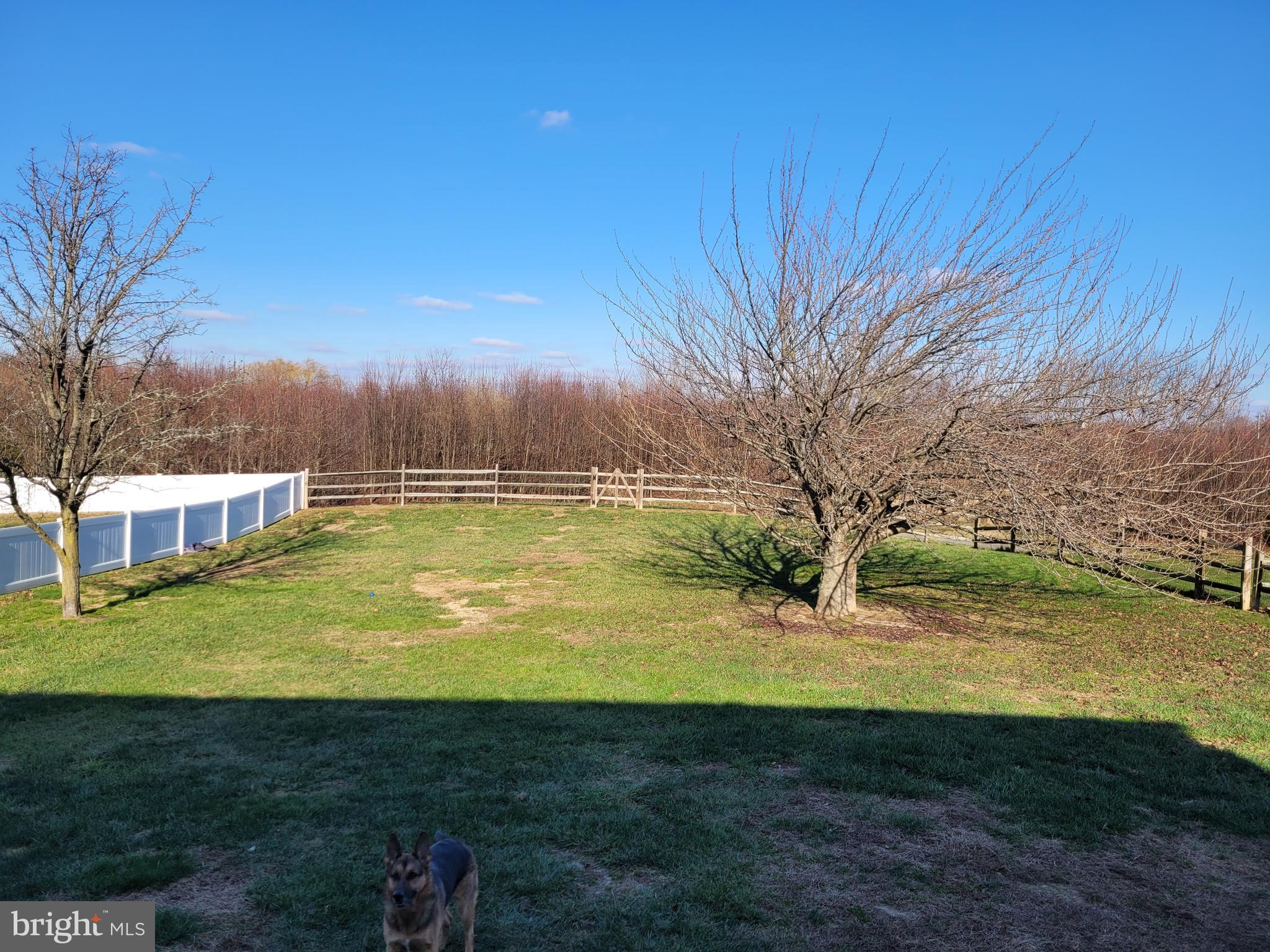 JONATHANS LANDING - Residential Lease