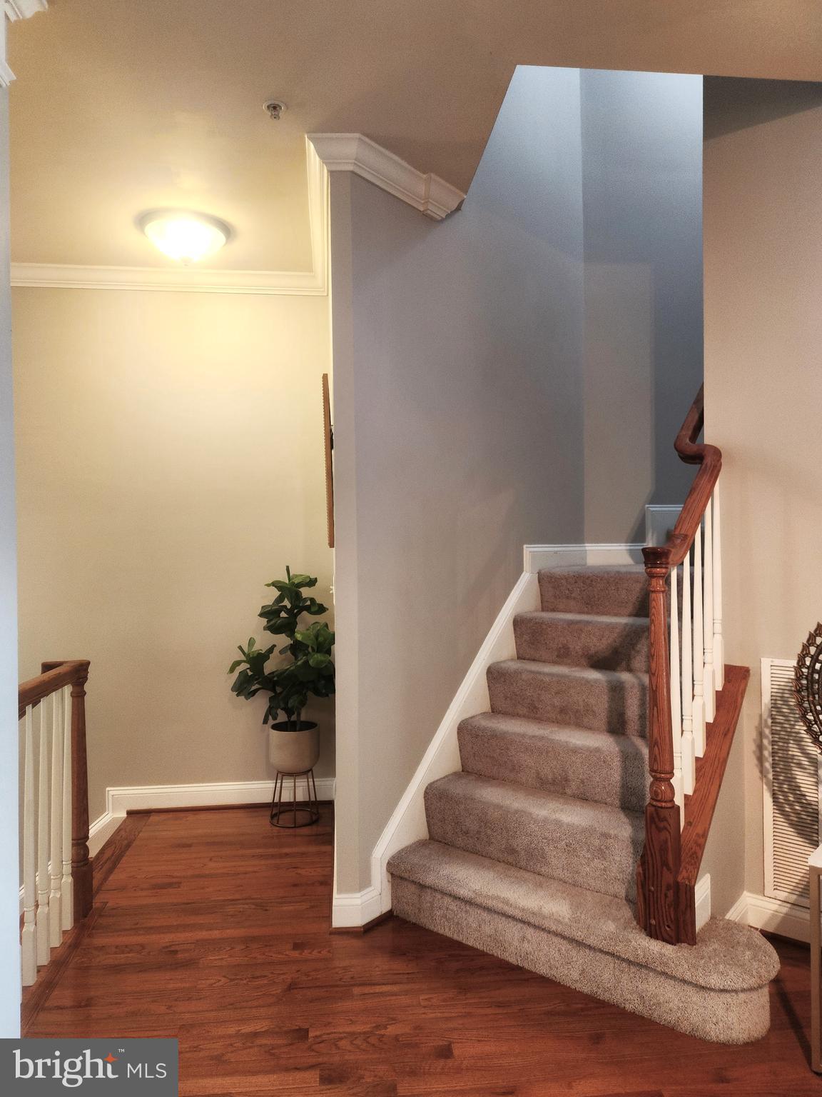 REDLAND ESTATES - Residential Lease