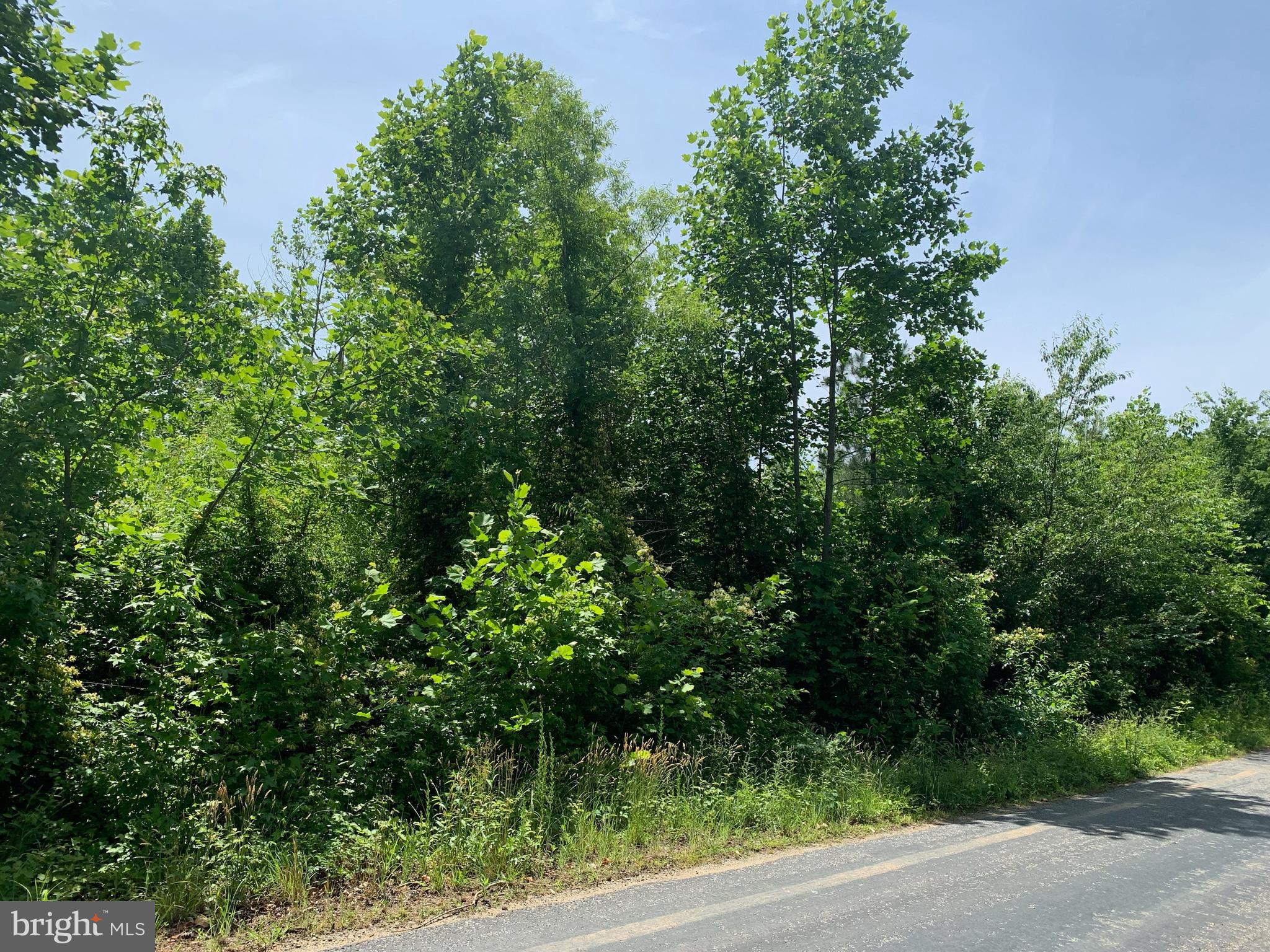 MOORES - Land