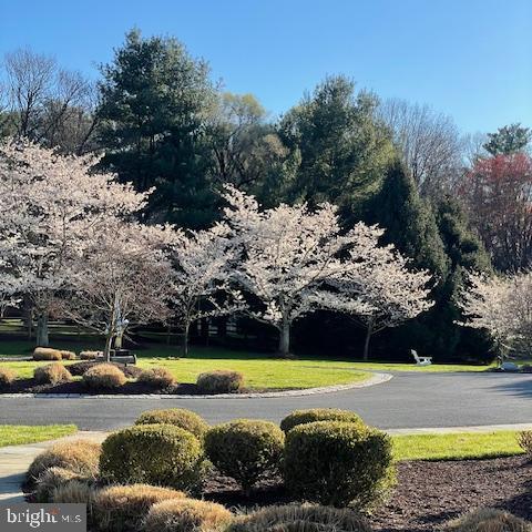 POTOMAC FALLS - Residential