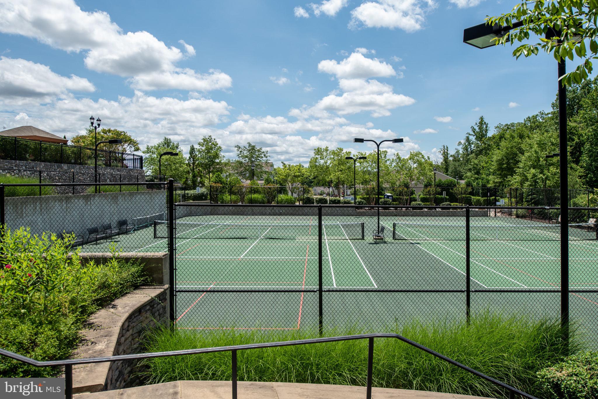 CELEBRATE VIRGINIA NORTH - Residential