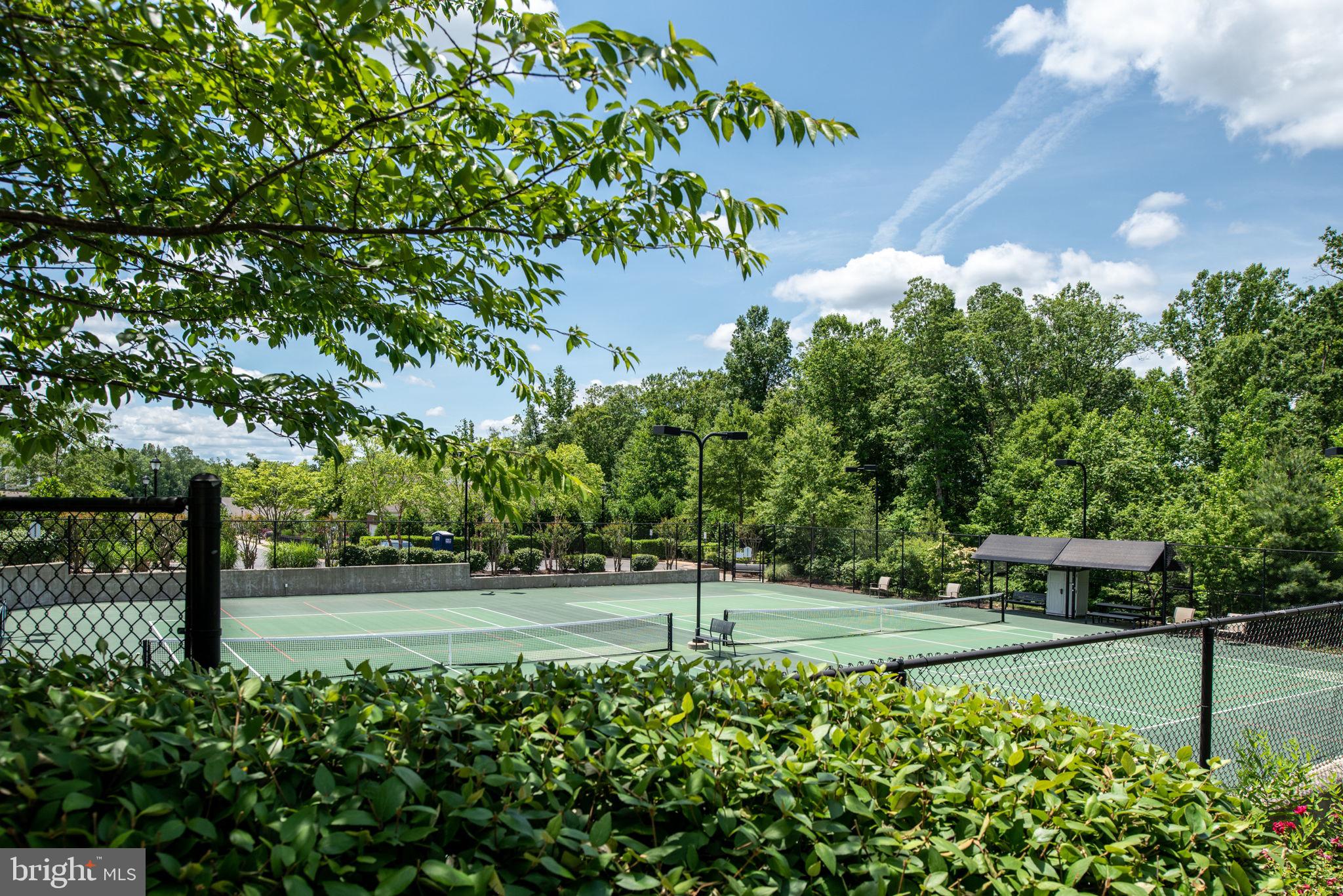 CELEBRATE VIRGINIA NORTH - Residential