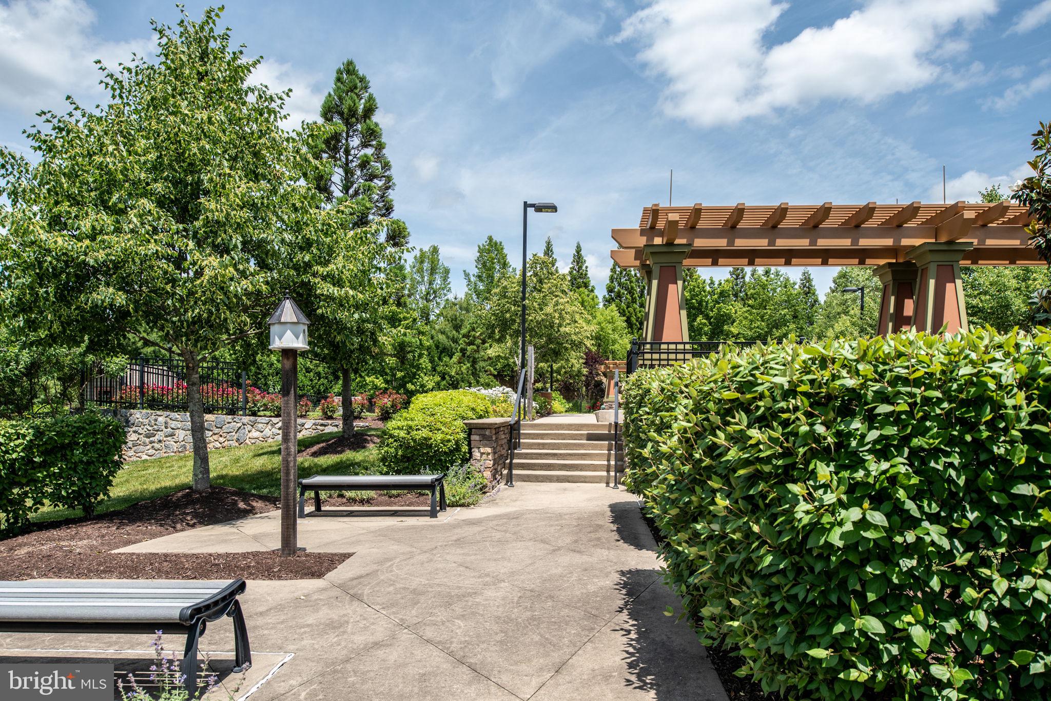 CELEBRATE VIRGINIA NORTH - Residential