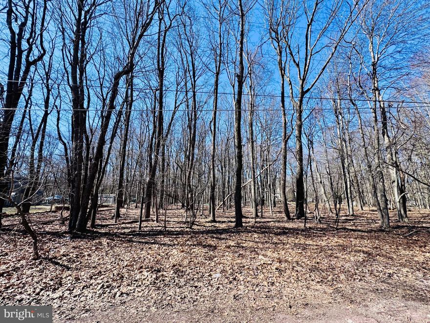 Pocono Mountain School District. Bring your own builder. Beautiful wooded half acre lot. No paved road directly out front of the property. Onsite water and sewer. Probe completed. Needs the perk test for a sand mound system. No well drilled. Very flat lot. Note: This lot is not a part of the Stillwater Lakes Civic Association which is the adjacent development therefore there are no association fees or dues with this property. Short drive to water parks, ski resorts, restaurants and major roads. Excellent investment property for an Air BnB or build your perfect vacation home.