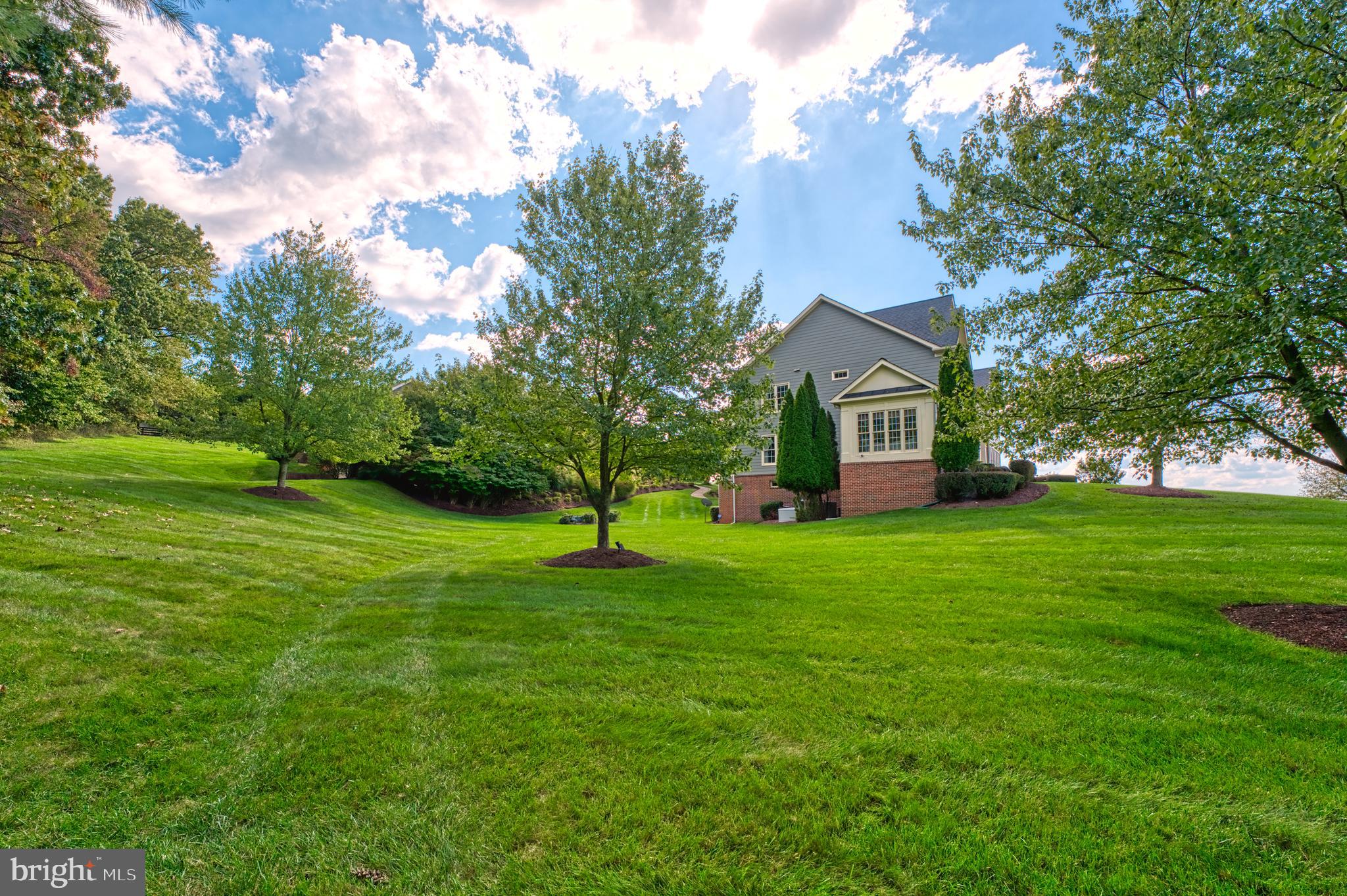 BEACON HILL - Residential