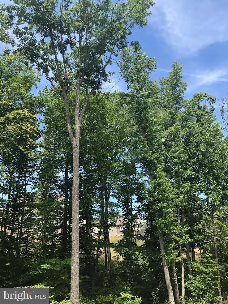 COLONIAL FORGE - Residential Lease