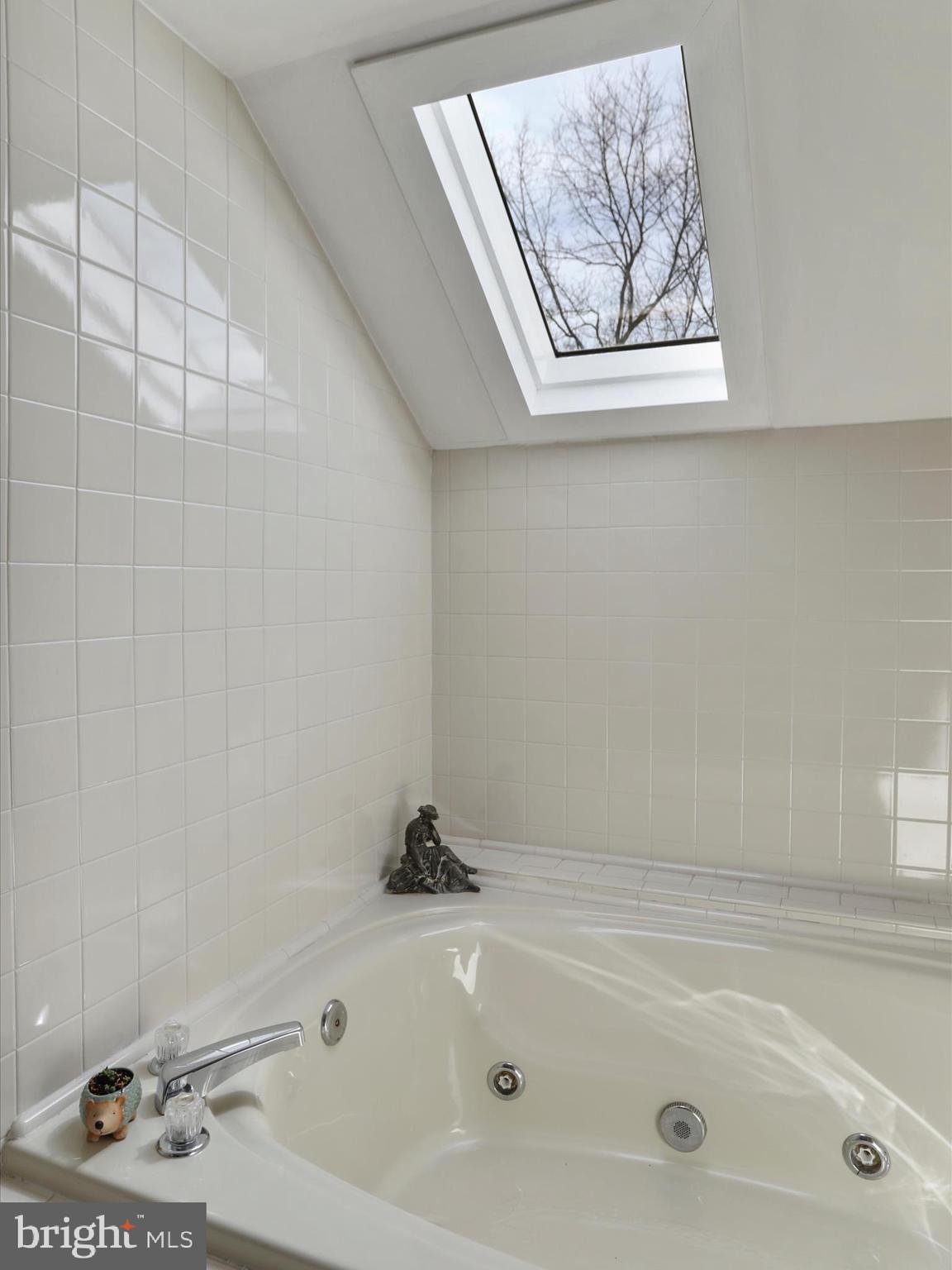 THE WOODS - Residential