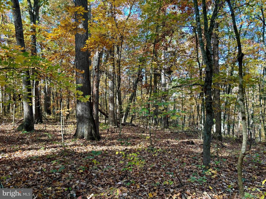 Welcome to your private retreat!  This beautiful 18.5 acre property is perfect for recreation or build your own cabin. Tucked away in the woods, this parcel offers a seasonal stream surrounded by everything nature offers. The flat road running to the land provides you with easy access and no four wheel drive is needed. The property includes what is thought to be an old road/path off of the one you come in on that can not be driven on now. However you can easily park in the cleared spot beside it and walk up to the hill to the major portion of the property where you will find flat landscape and hear nothing but the sounds of nature surrounding you.  Despite its secluded feel, there is cell phone service and just a few minute drive to secondary paved road! Do not miss your chance to call this land your own!