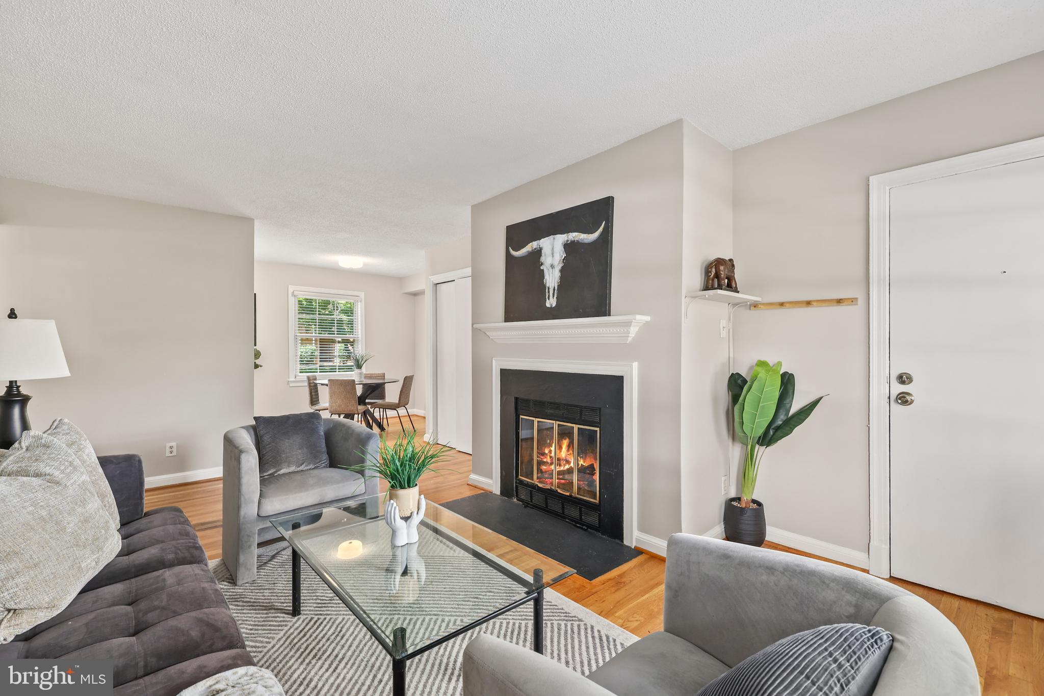 2401 ARLINGTON BOULEVARD 101