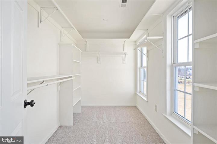 EQUESTRIAN ESTATES - Residential