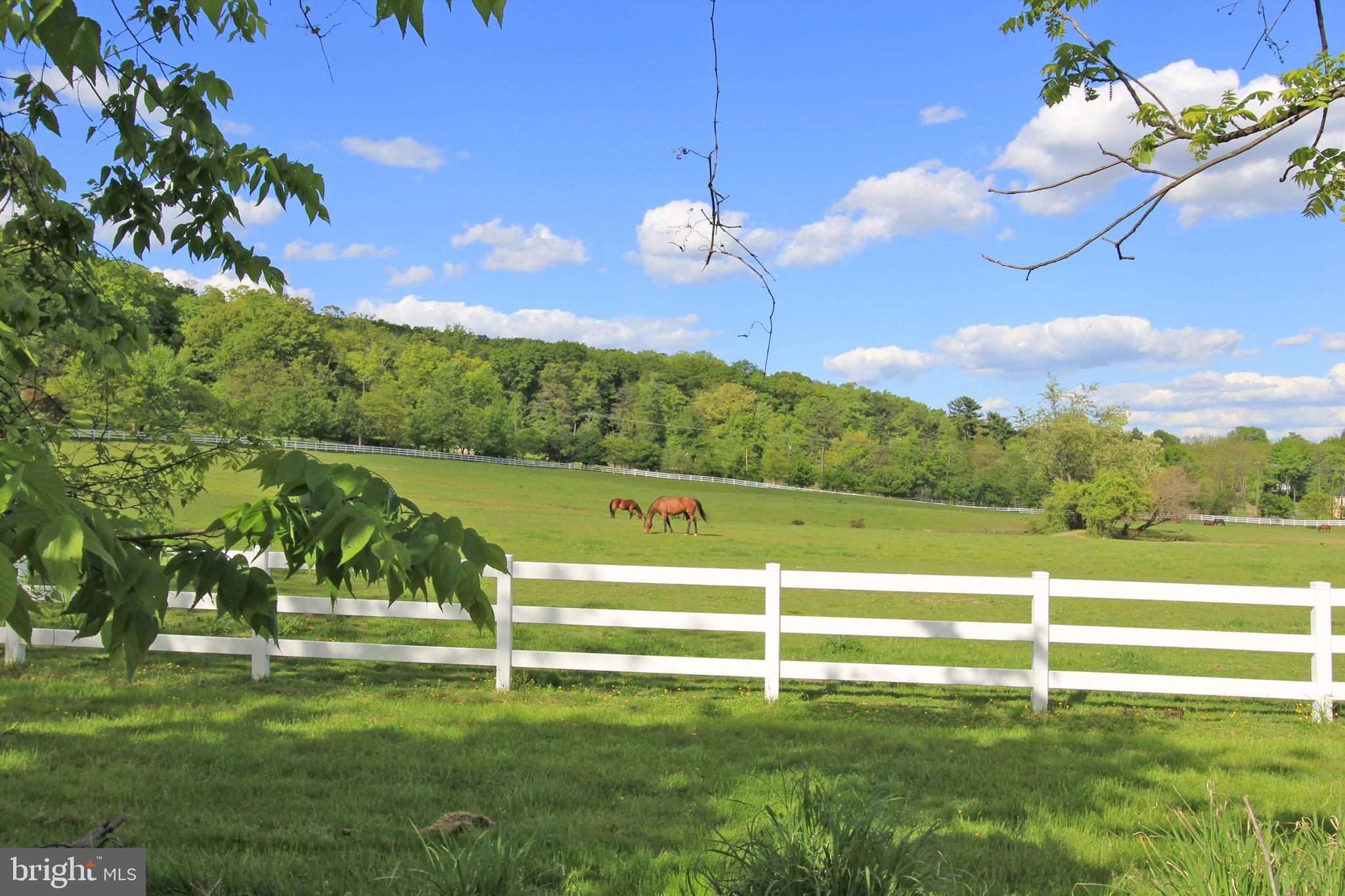 YELLOW SPRINGS EST - Residential