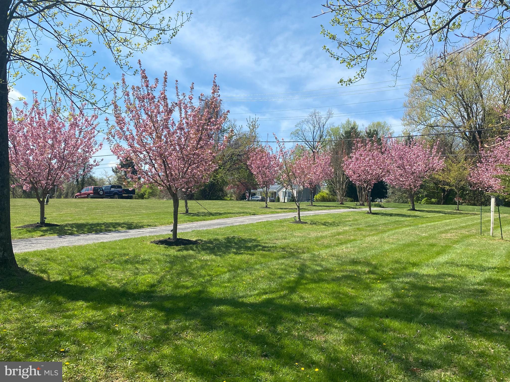JONATHANS DELIGHT - Residential