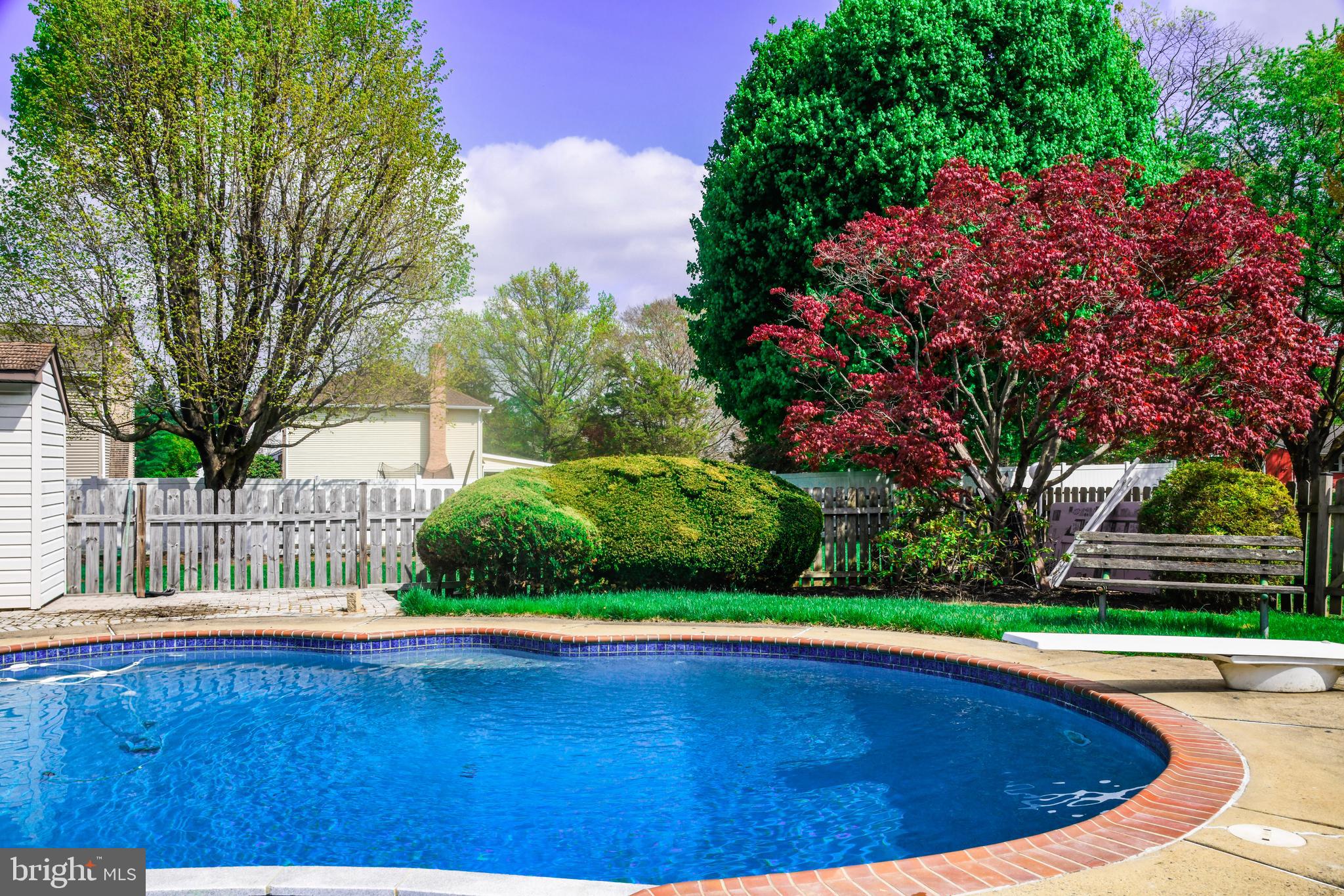 PINE TREE FARMS - Residential