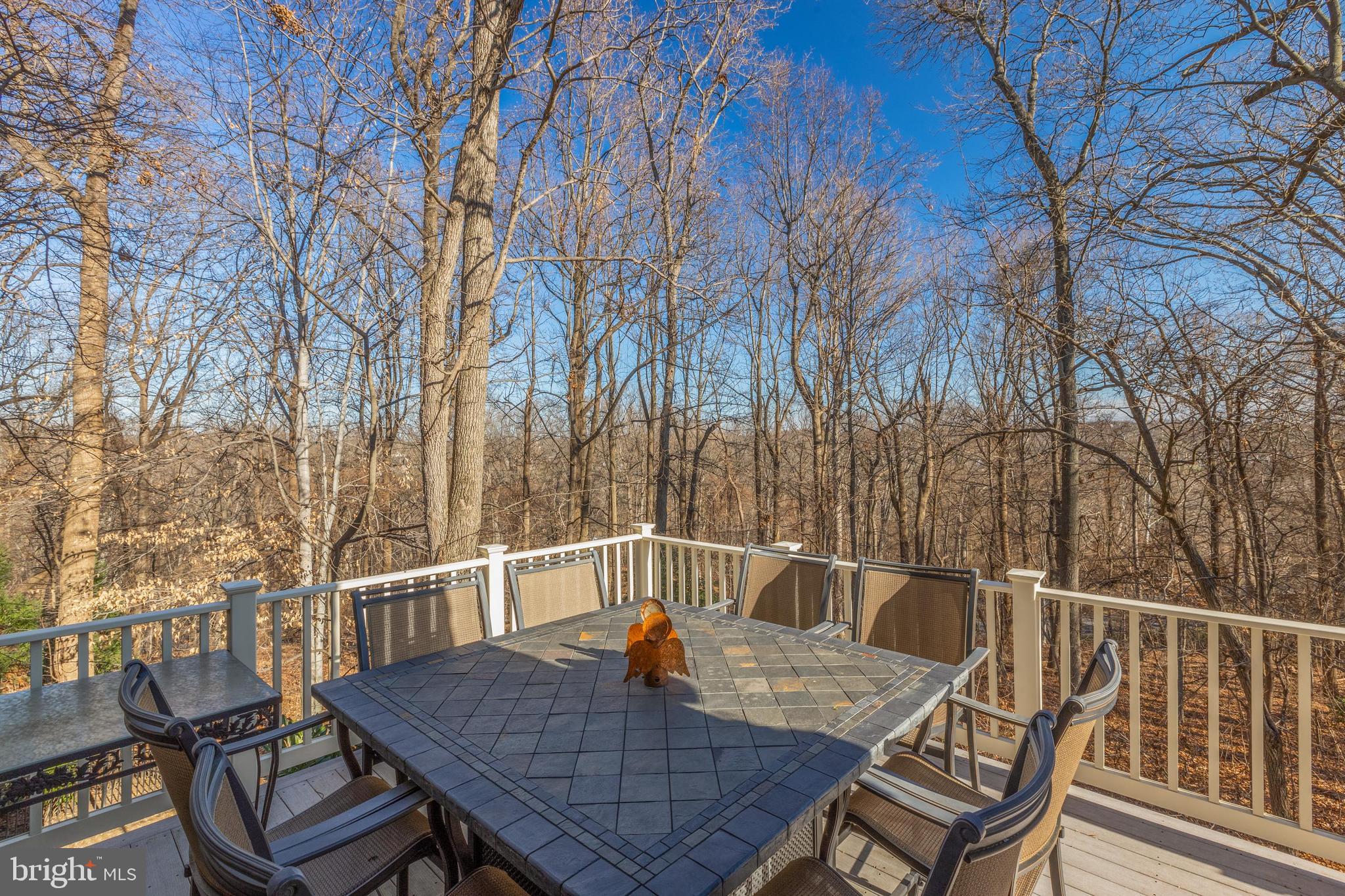 THE WOODS AT CHAIN BRIDGE - Residential