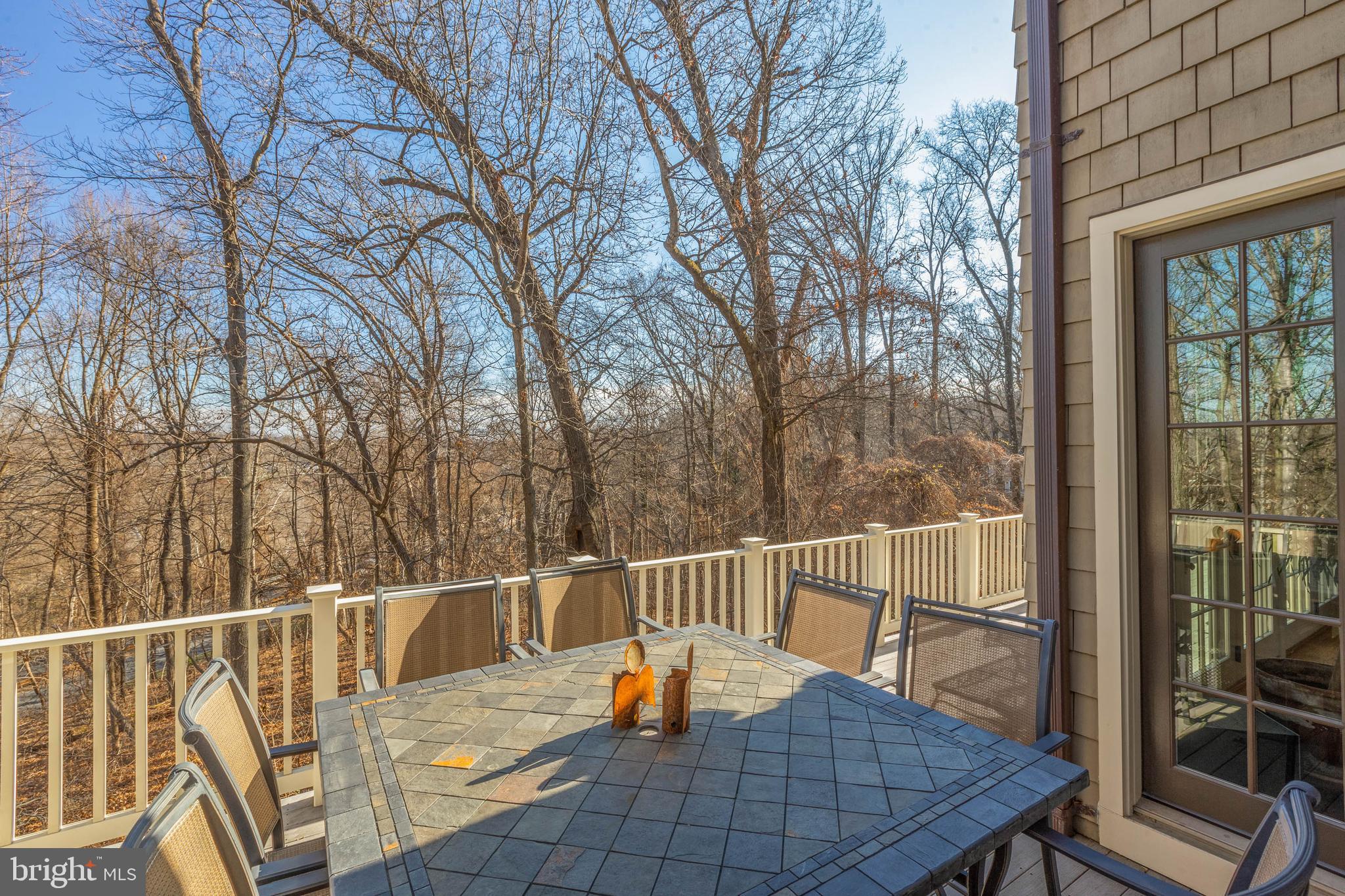 THE WOODS AT CHAIN BRIDGE - Residential