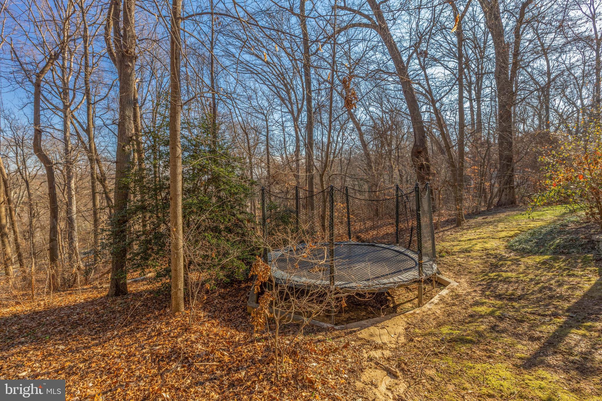 THE WOODS AT CHAIN BRIDGE - Residential