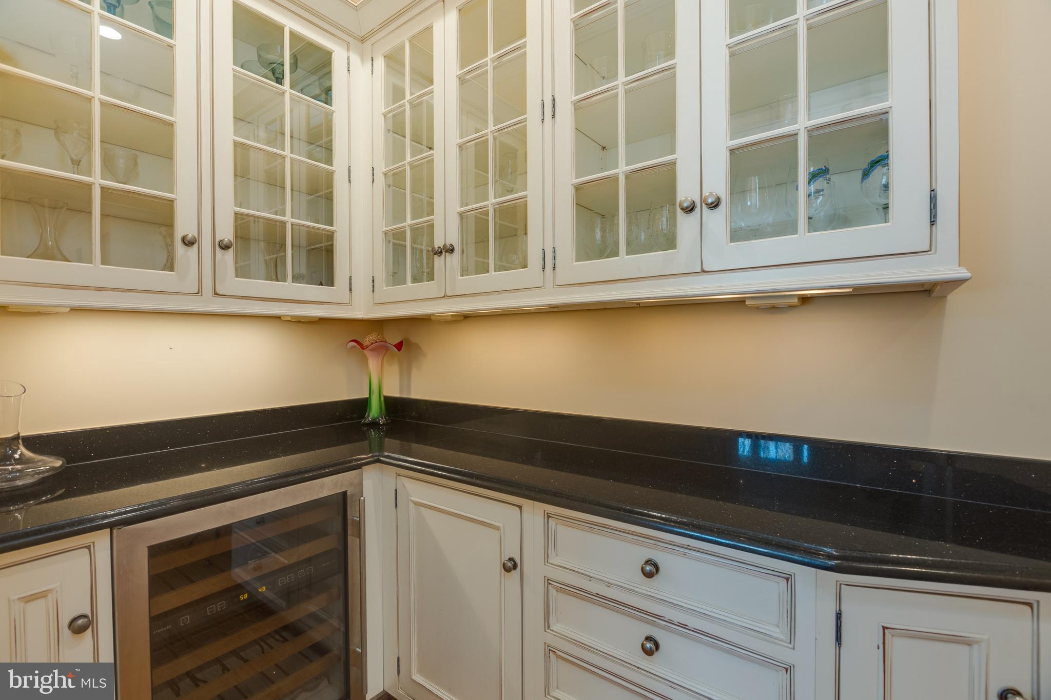 THE WOODS AT CHAIN BRIDGE - Residential