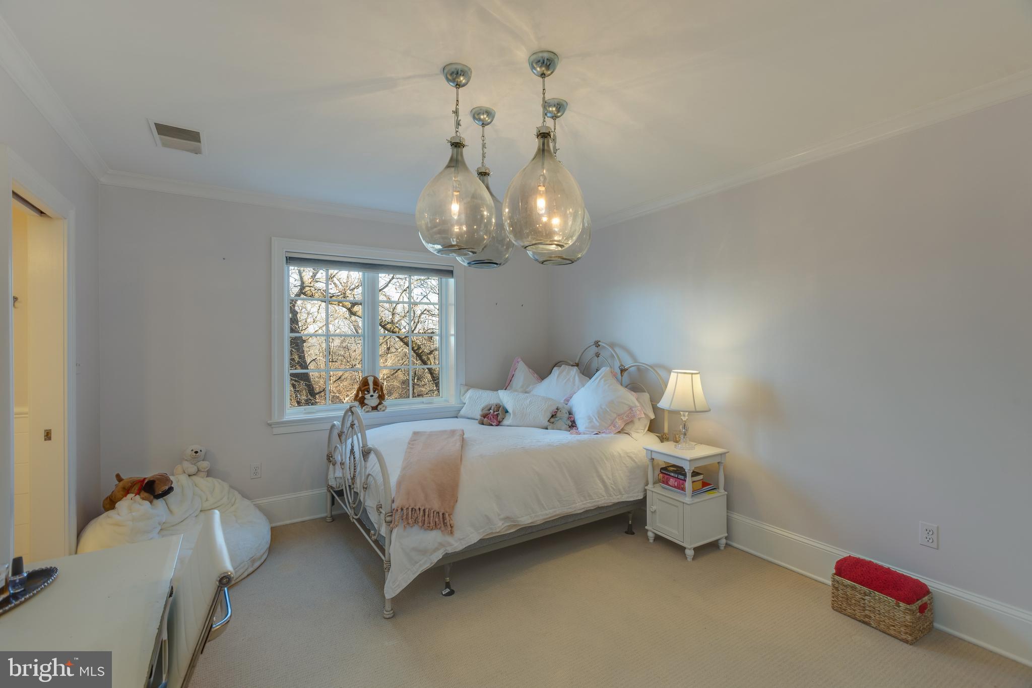 THE WOODS AT CHAIN BRIDGE - Residential