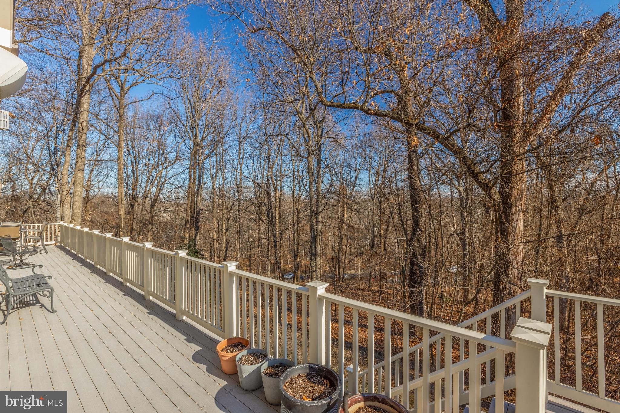 THE WOODS AT CHAIN BRIDGE - Residential