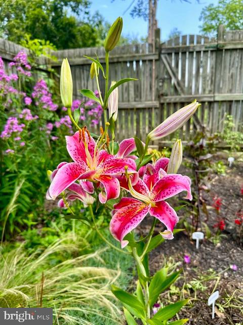 MOUNT WASHINGTON - Residential