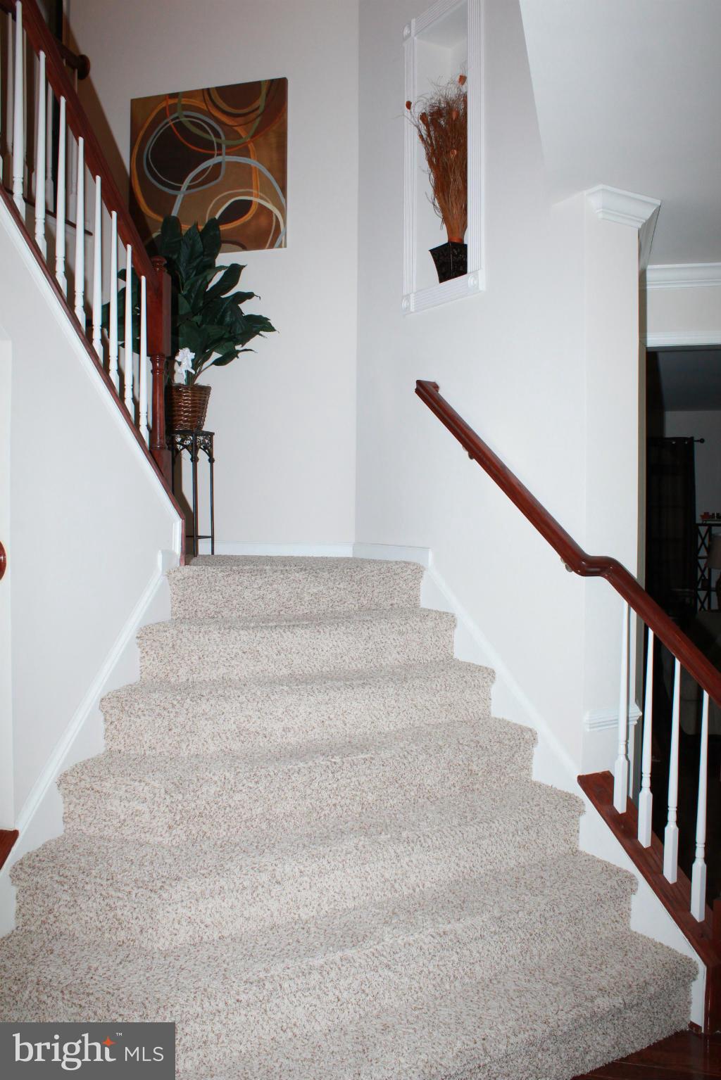 BEECH TREE NORTH VILLAGE - Residential