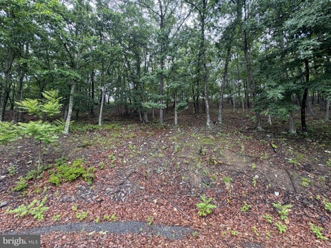 Vacant Land For Sale - 3437 Victoria Court<br/> BUSHKILL, PA 18324