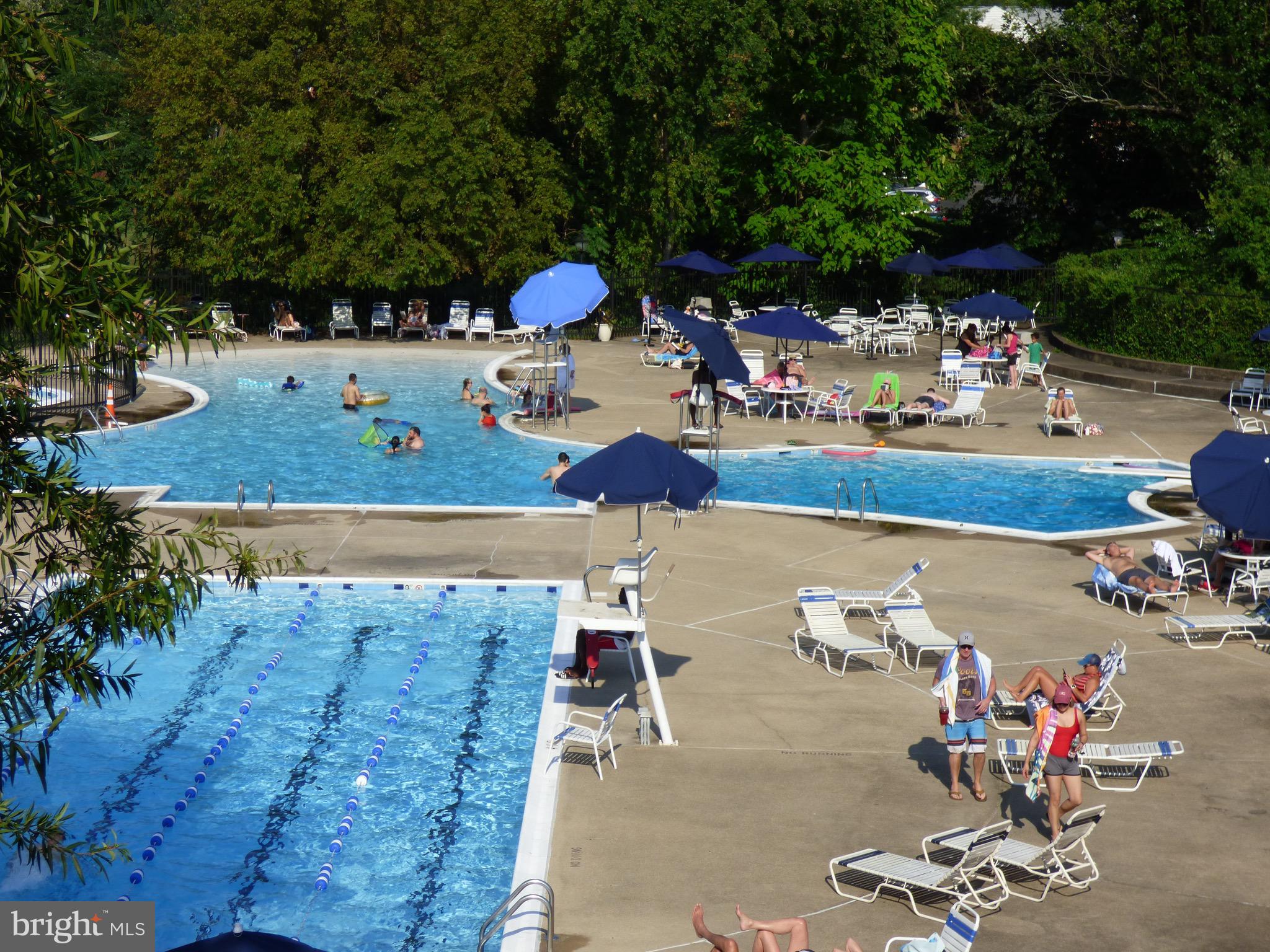 BELLE VIEW CONDOMINIUMS - Residential Lease